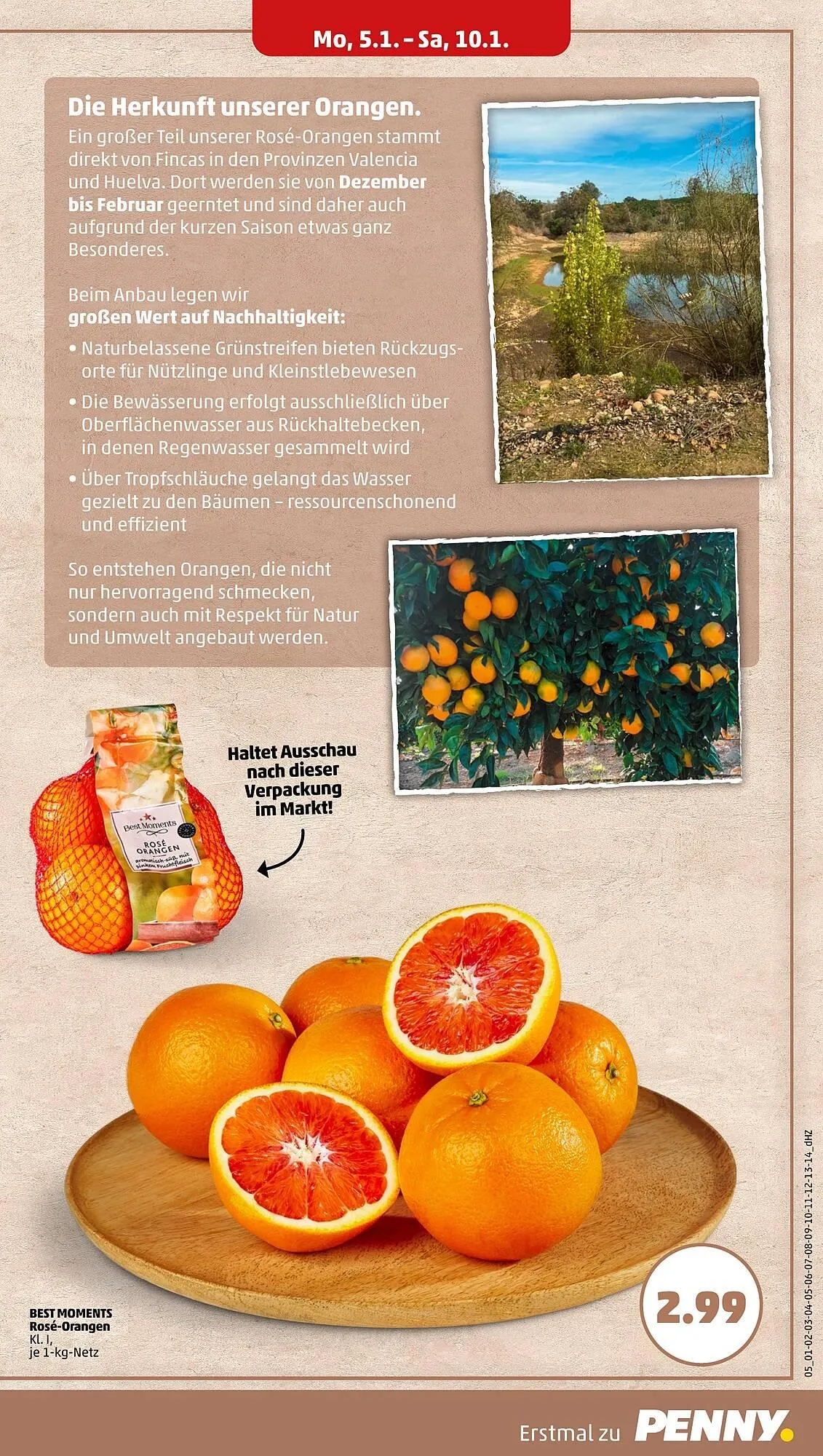 PENNY DE folder van 5 januari tot 10 januari 2026 - Folder pagina 7