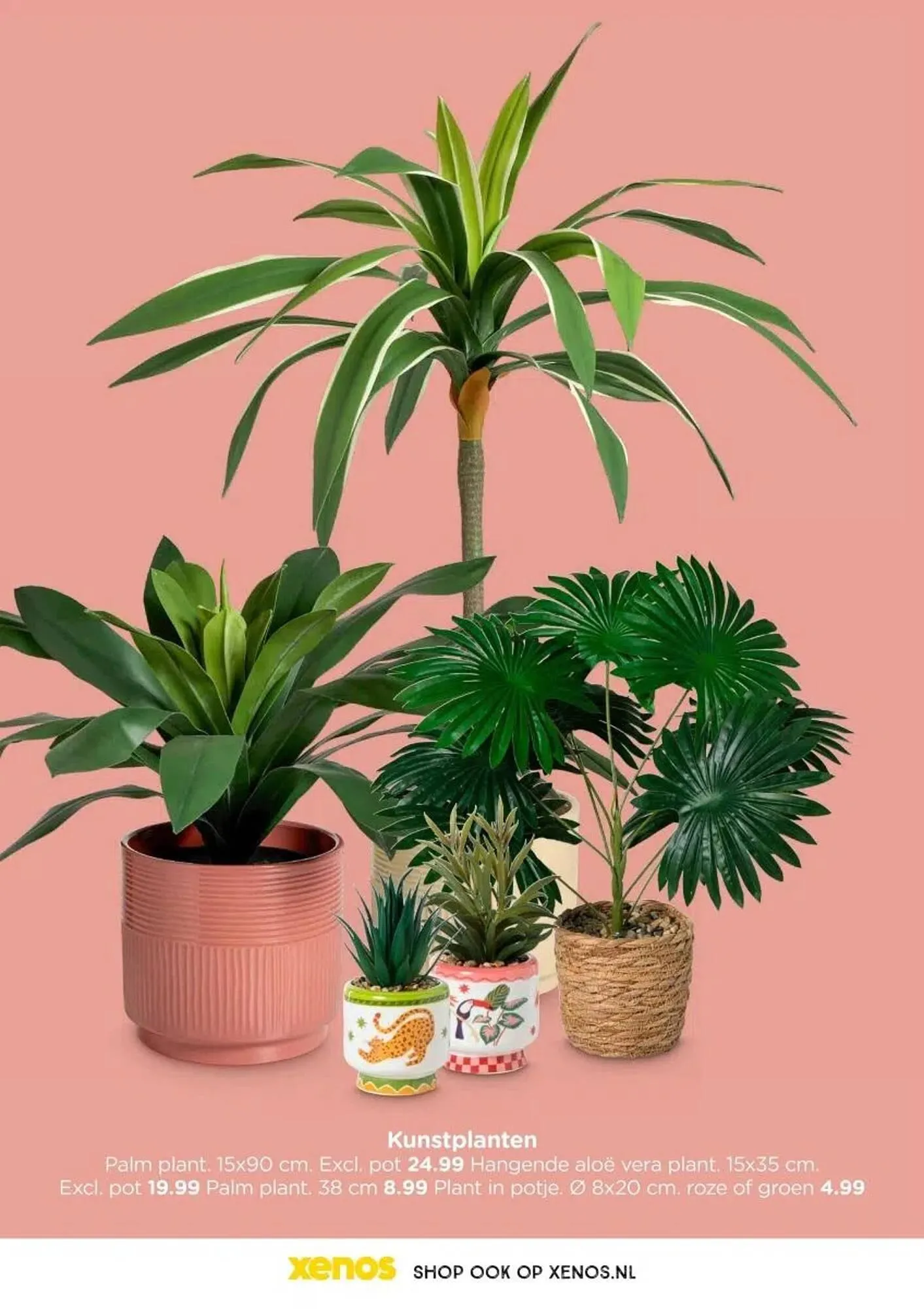 Xenos folder van 19 januari tot 19 april 2026 - Folder pagina 12