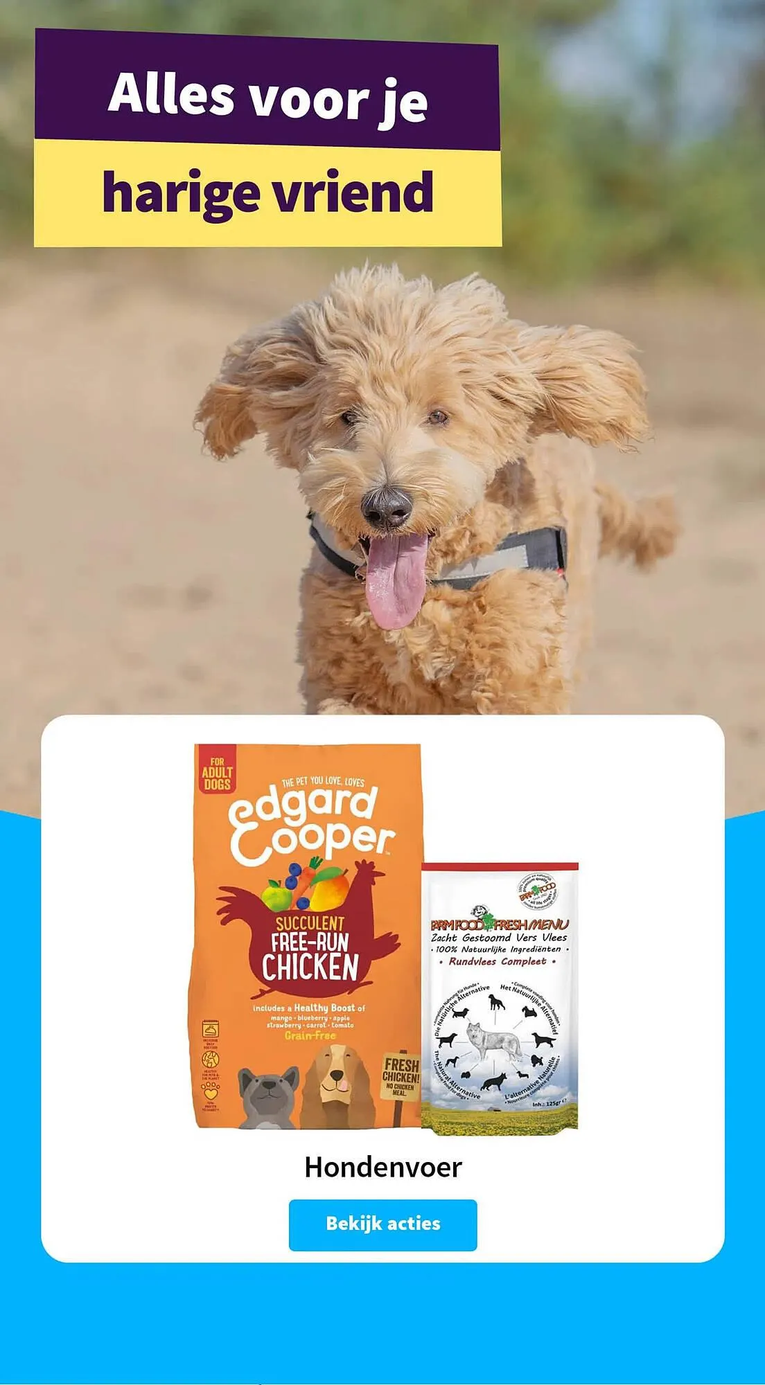 Plein.nl folder van 6 november tot 9 november 2025 - Folder pagina 16