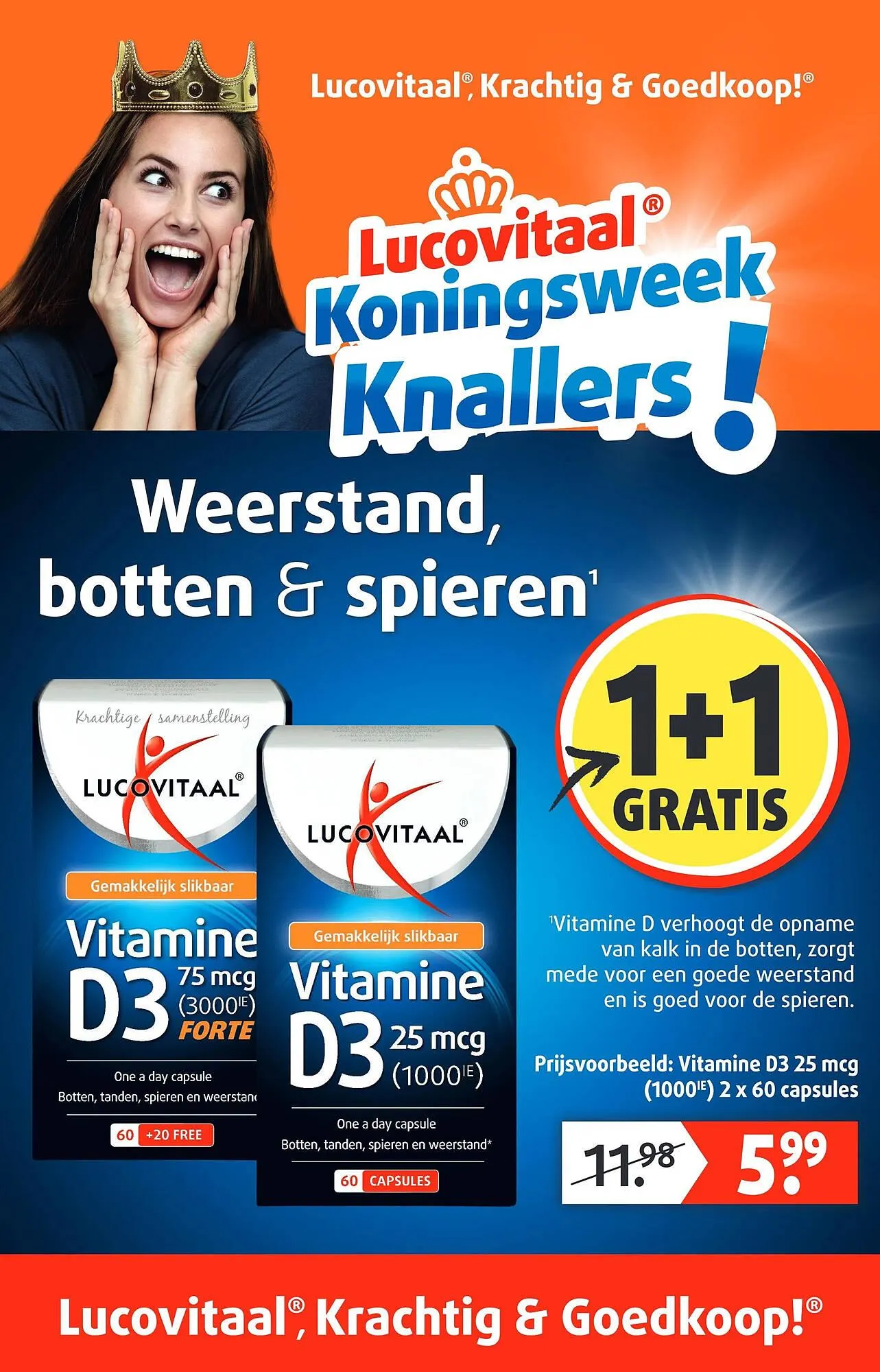 Lucovitaal folder - 1