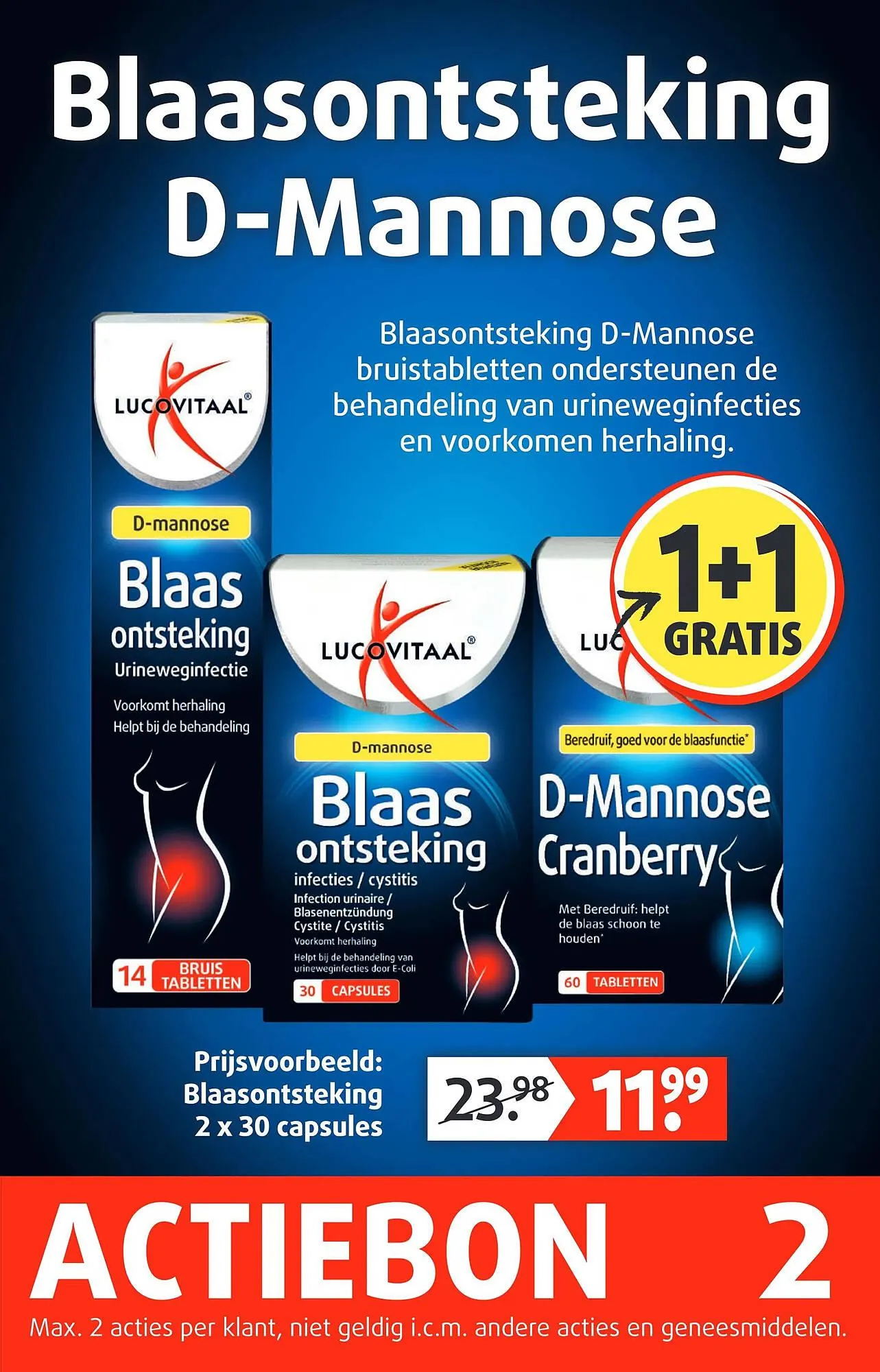 Lucovitaal folder van 9 november tot 15 november 2025 - Folder pagina 3