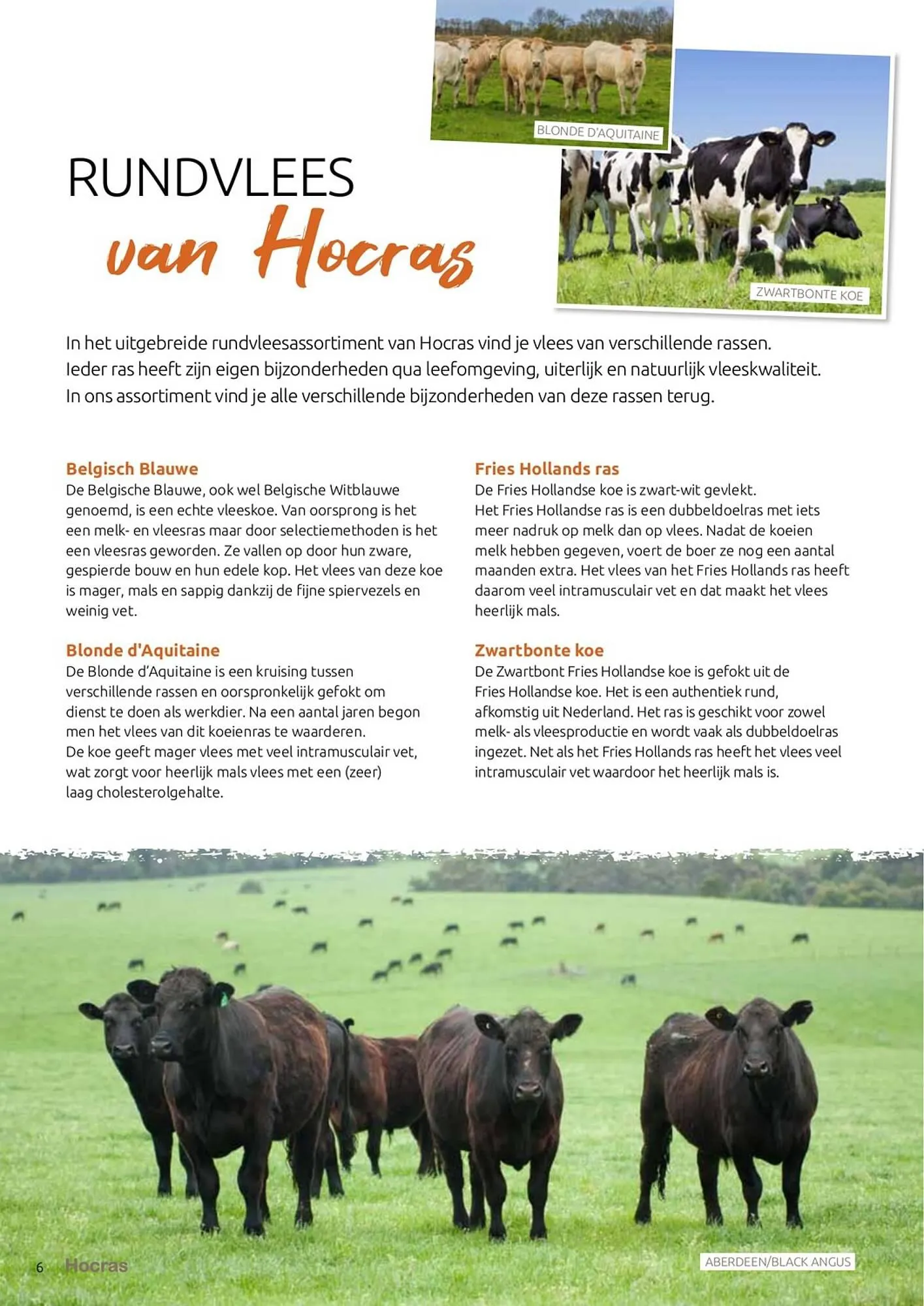 Hocras Vlees folder van 15 februari tot 31 december 2023 - Folder pagina 6