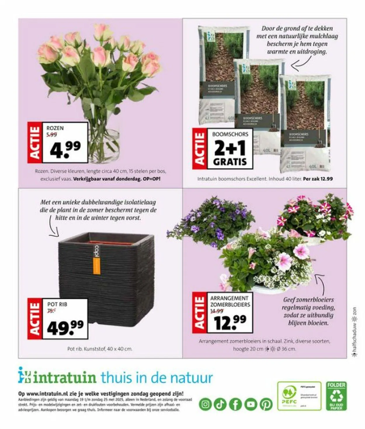 Intratuin van 19 mei tot 25 mei 2025 - Folder pagina 12