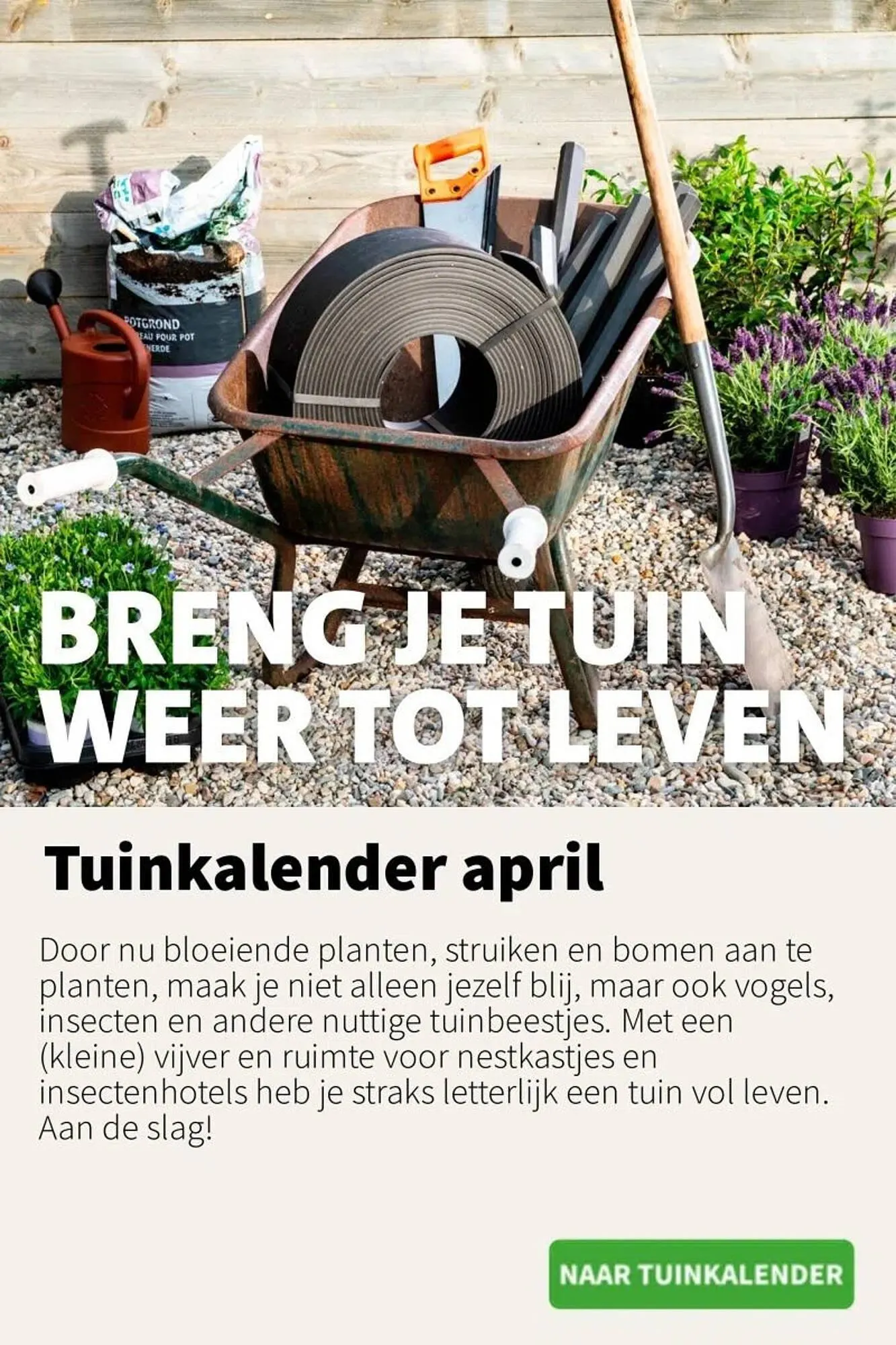 Intratuin folder van 7 april tot 13 april 2025 - Folder pagina 6