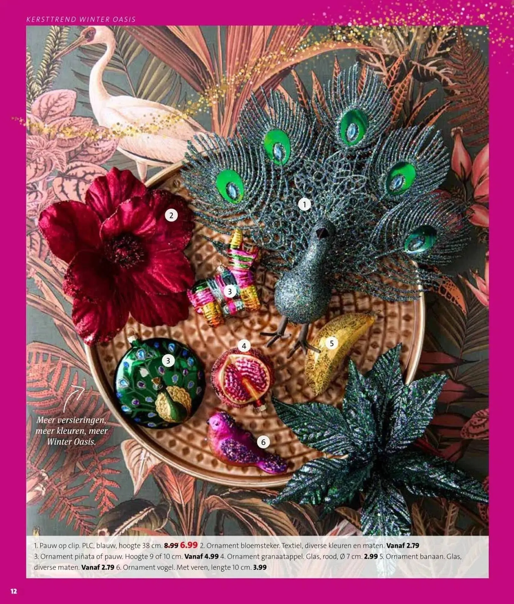 Intratuin folder van 27 oktober tot 2 november 2025 - Folder pagina 12