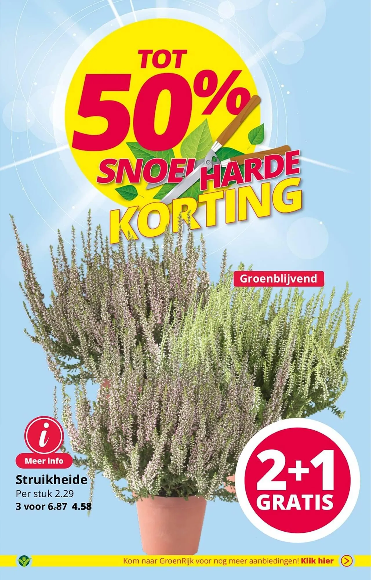 GroenRijk folder van 1 augustus tot 15 augustus 2023 - Folder pagina 3