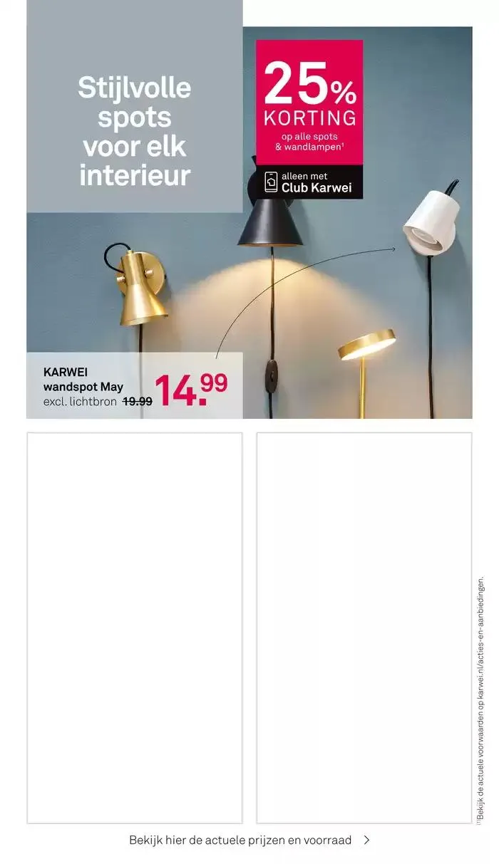 Karwei folder van 27 januari tot 10 februari 2025 - Folder pagina 10