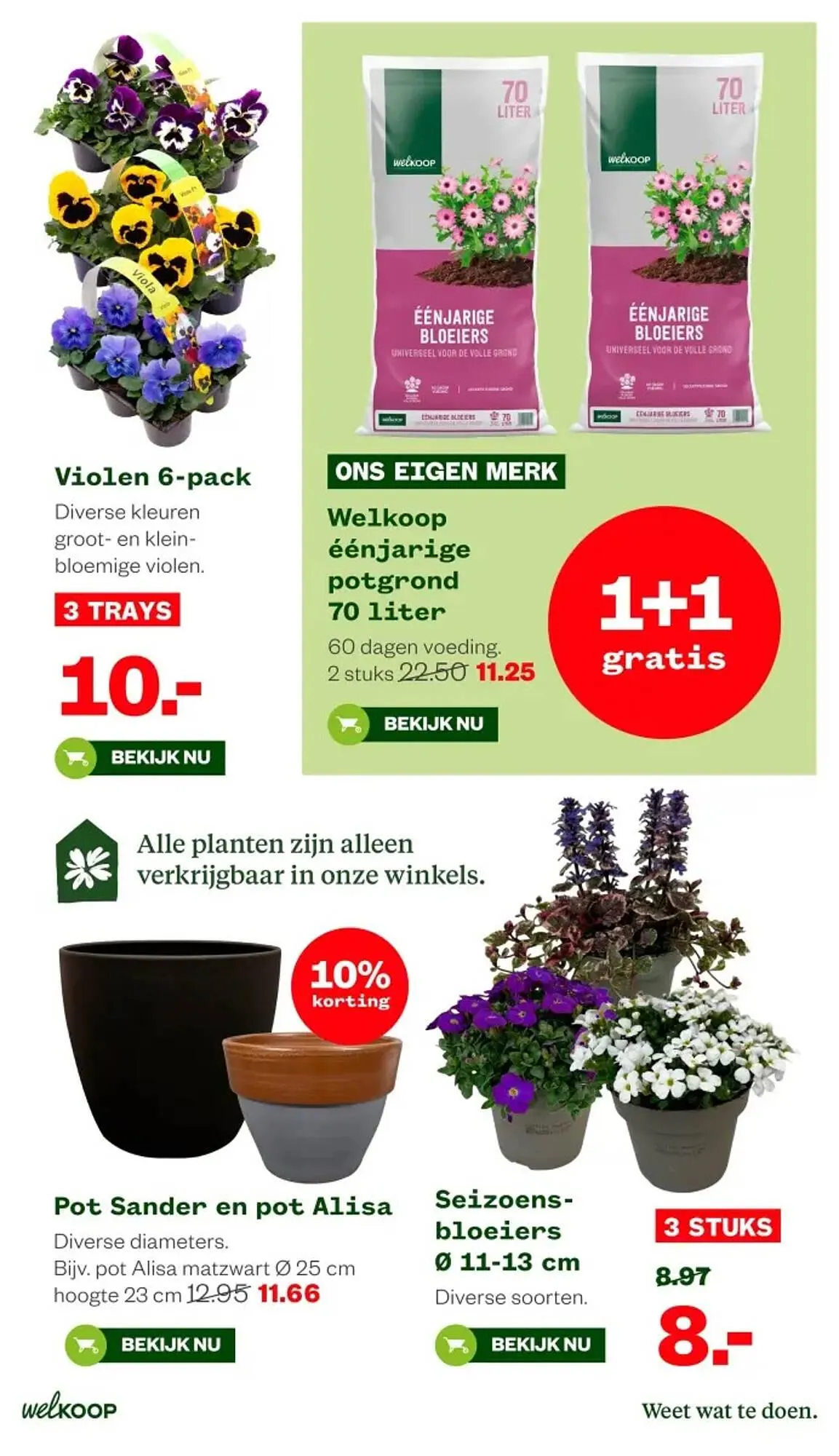 Welkoop folder van 16 maart tot 29 maart 2026 - Folder pagina 12