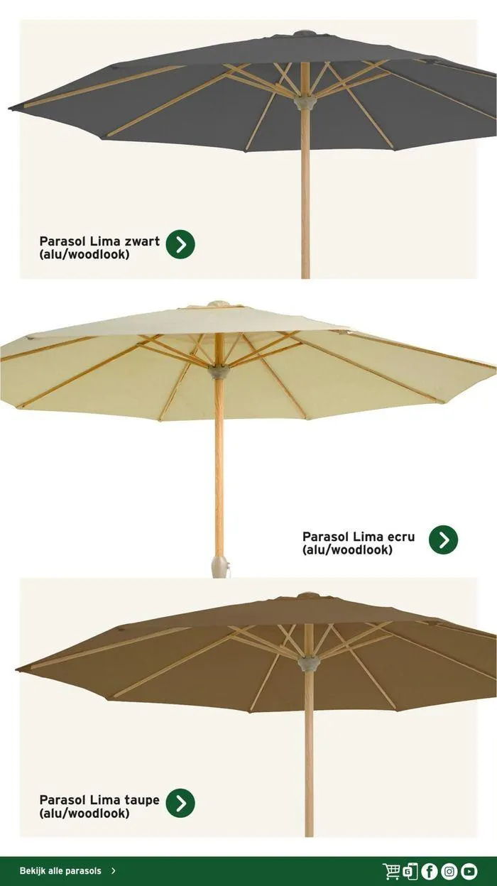 Gamma Decoratief Tuinmagazine 2024 van 4 maart tot 28 februari 2025 - Folder pagina 24