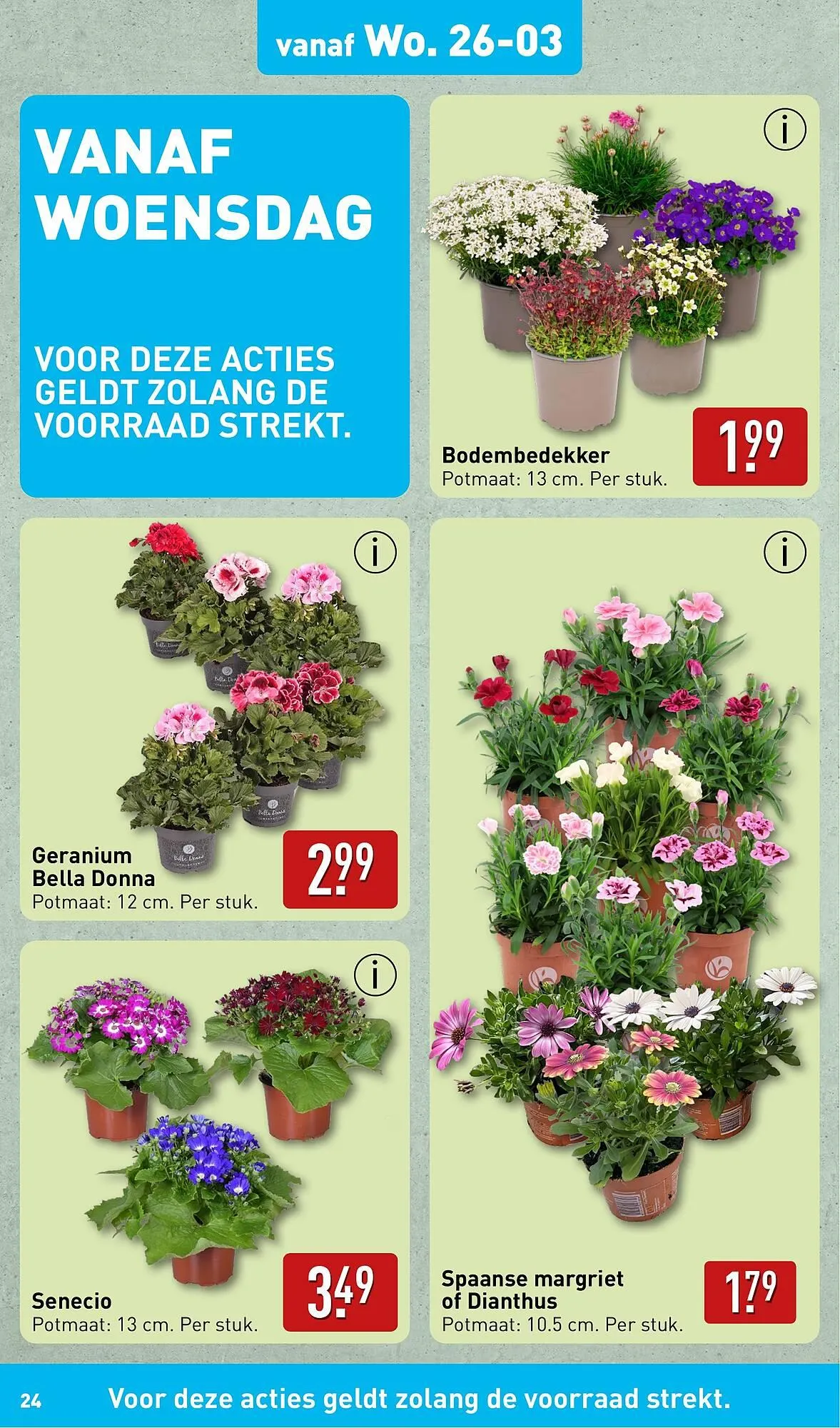 ALDI folder van 24 maart tot 30 maart 2025 - Folder pagina 24