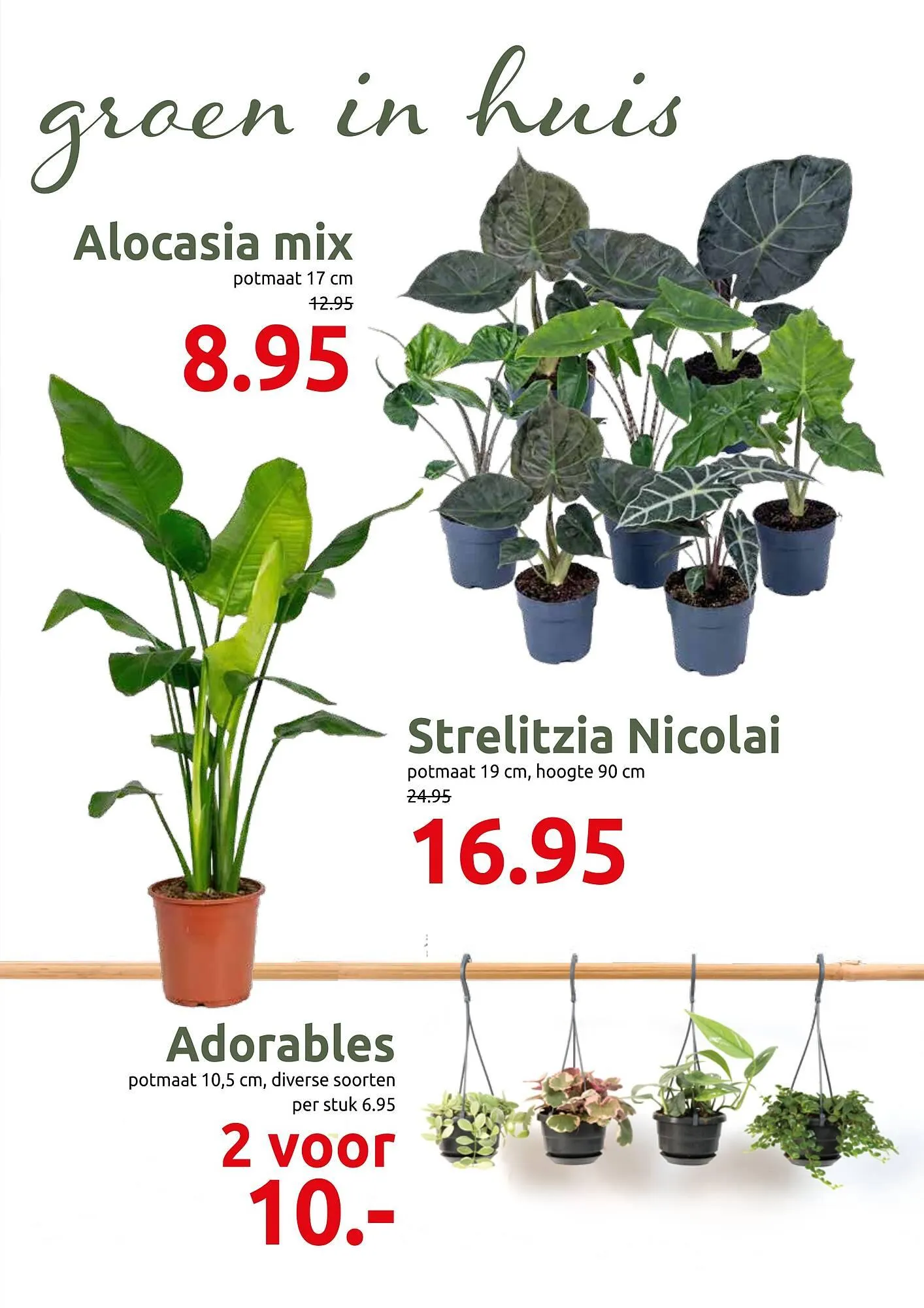 Deka Tuin folder van 2 maart tot 15 maart 2026 - Folder pagina 3