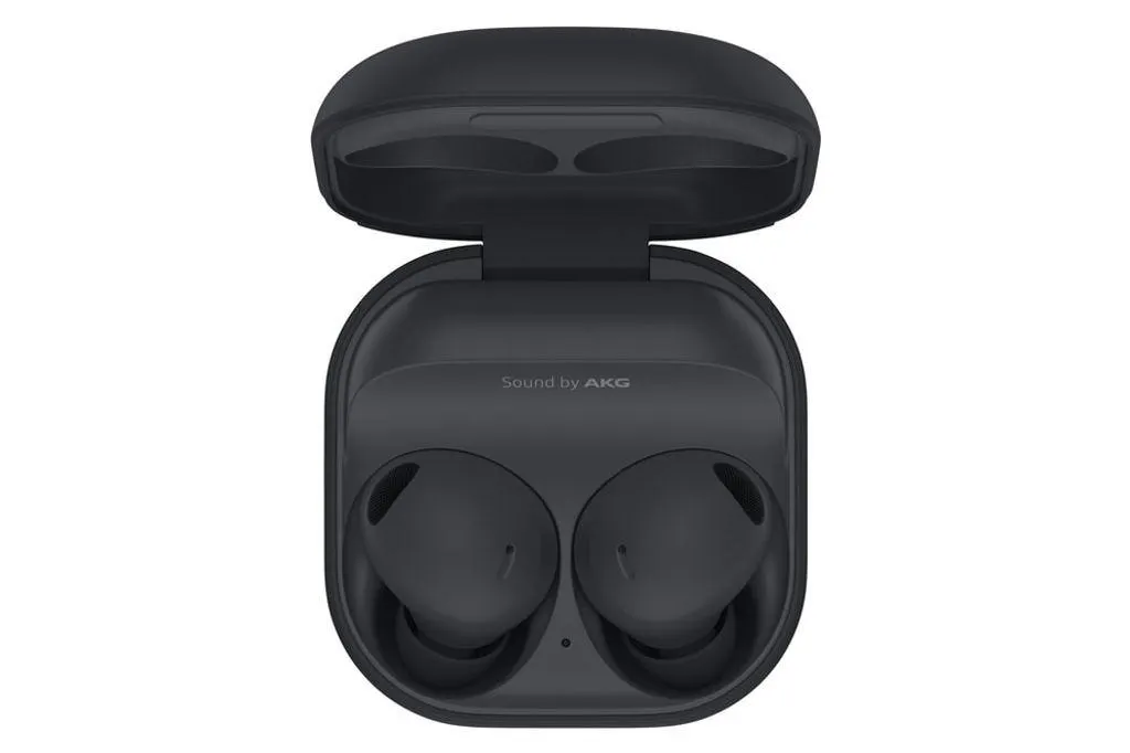 Samsung Galaxy Buds2 Pro Graphite