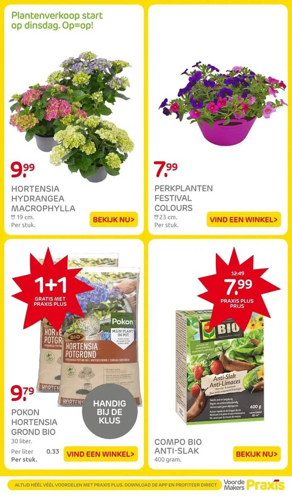 Praxis folder van 12 mei tot 18 mei 2025 - Folder pagina 24