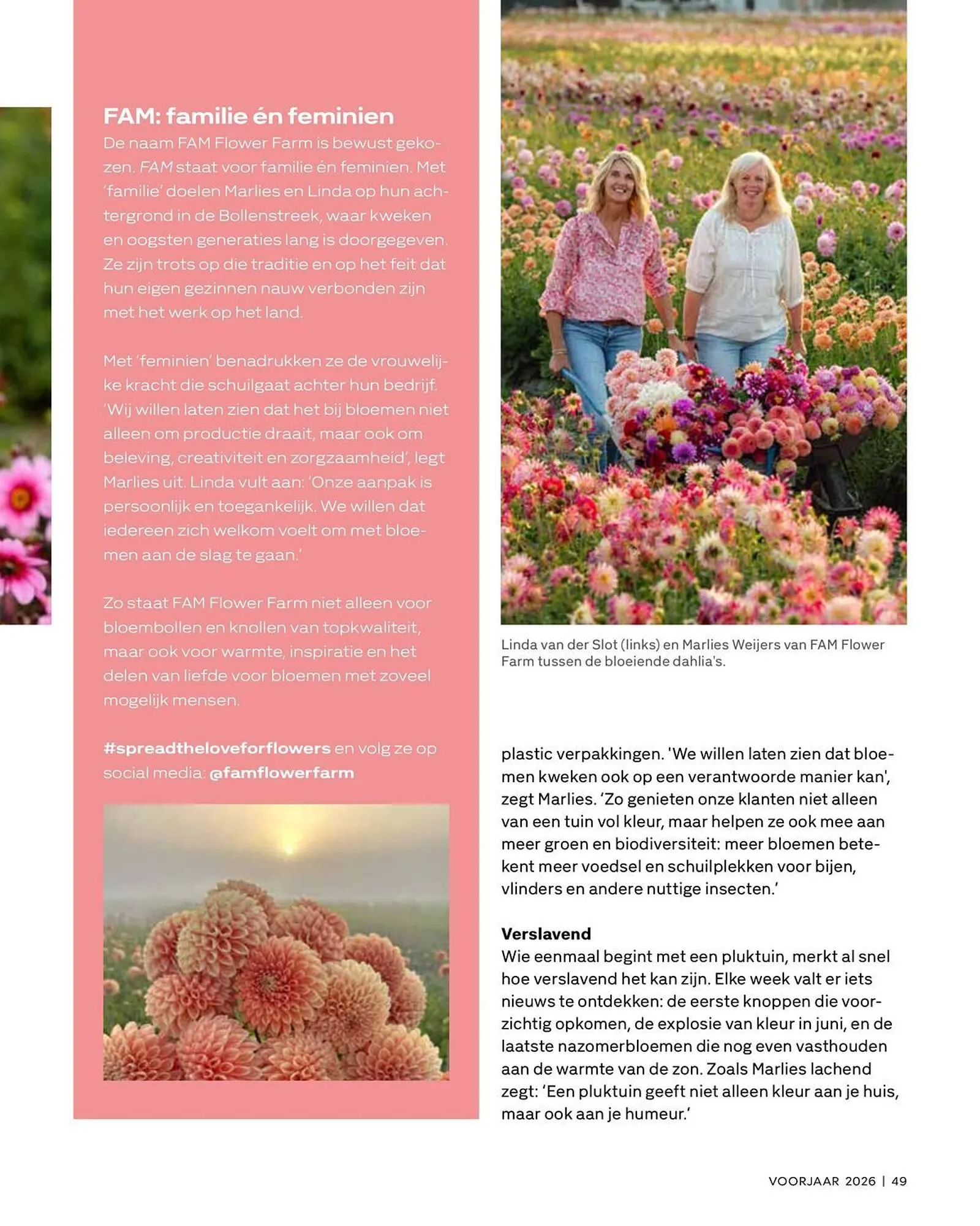 Vakgarage folder van 21 april tot 31 mei 2026 - Folder pagina 49