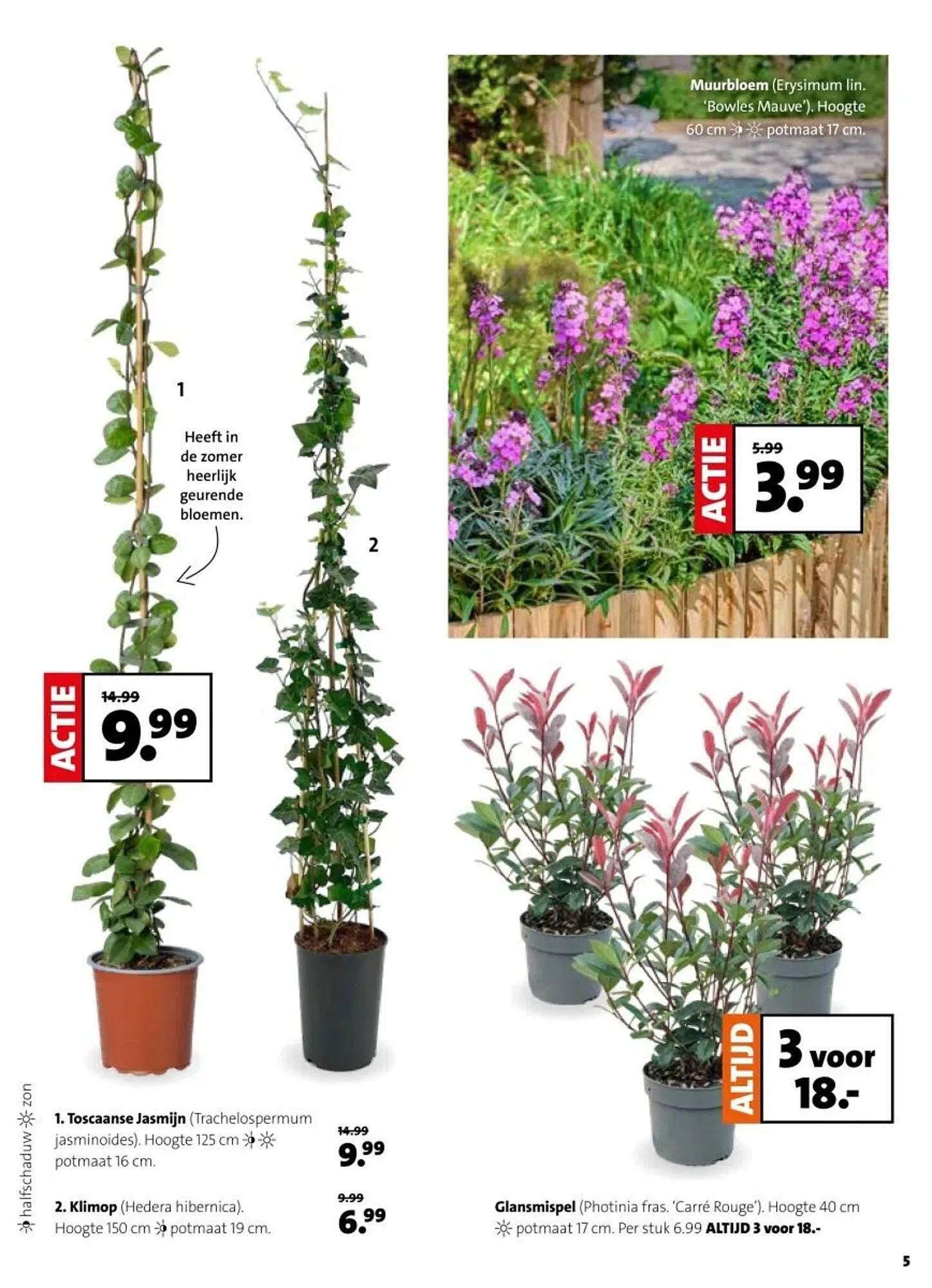 Intratuin folder van 2 maart tot 8 maart 2026 - Folder pagina 5