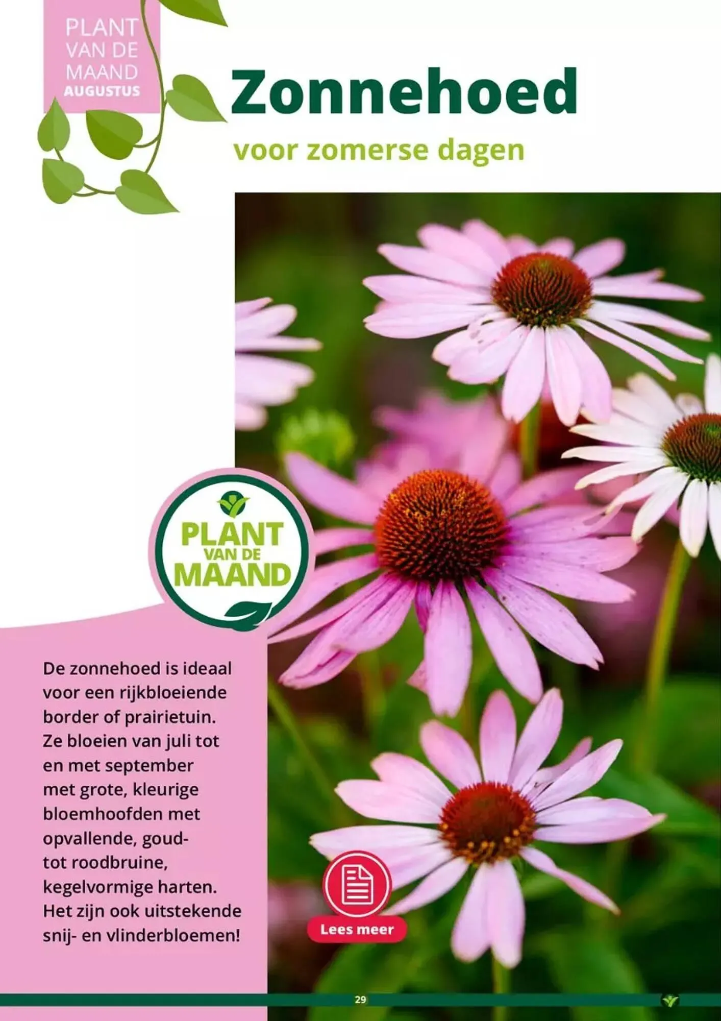 GroenRijk folder van 17 mei tot 31 augustus 2023 - Folder pagina 29