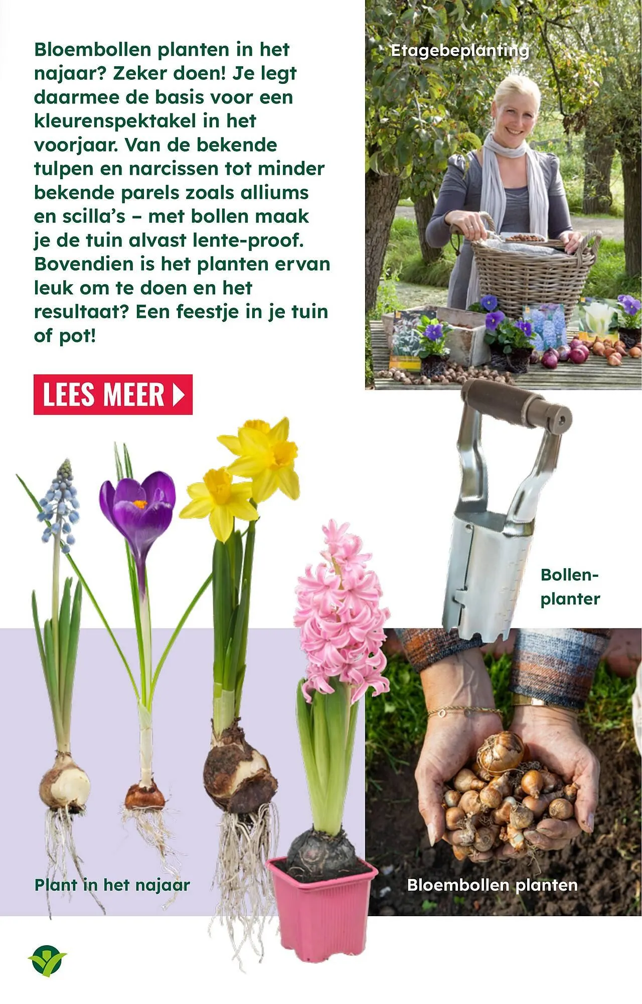 GroenRijk folder van 26 augustus tot 21 december 2025 - Folder pagina 11