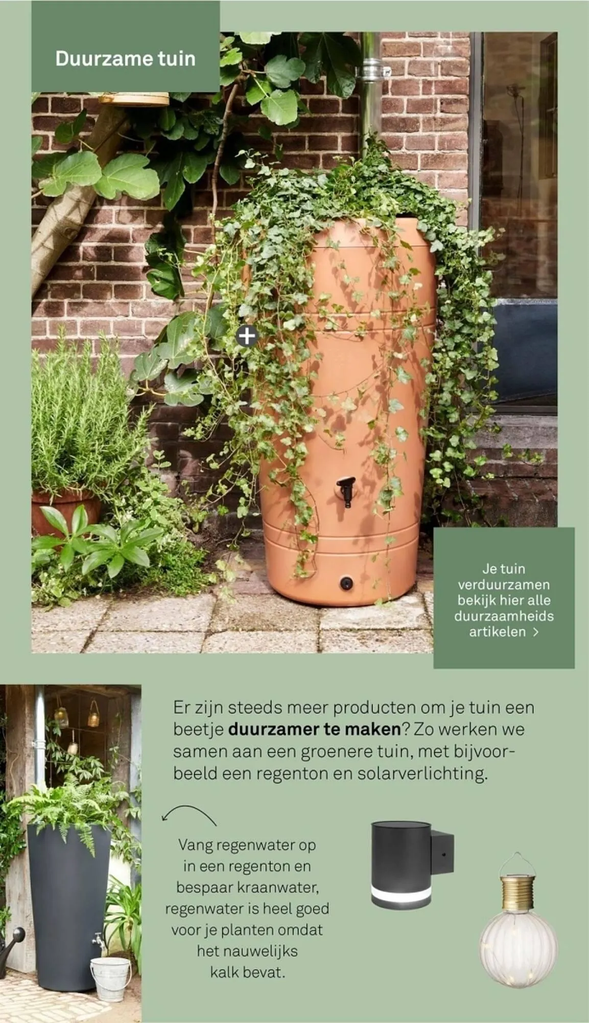 Karwei Tuincatalogus 2024 van 4 maart tot 31 maart 2025 - Folder pagina 55