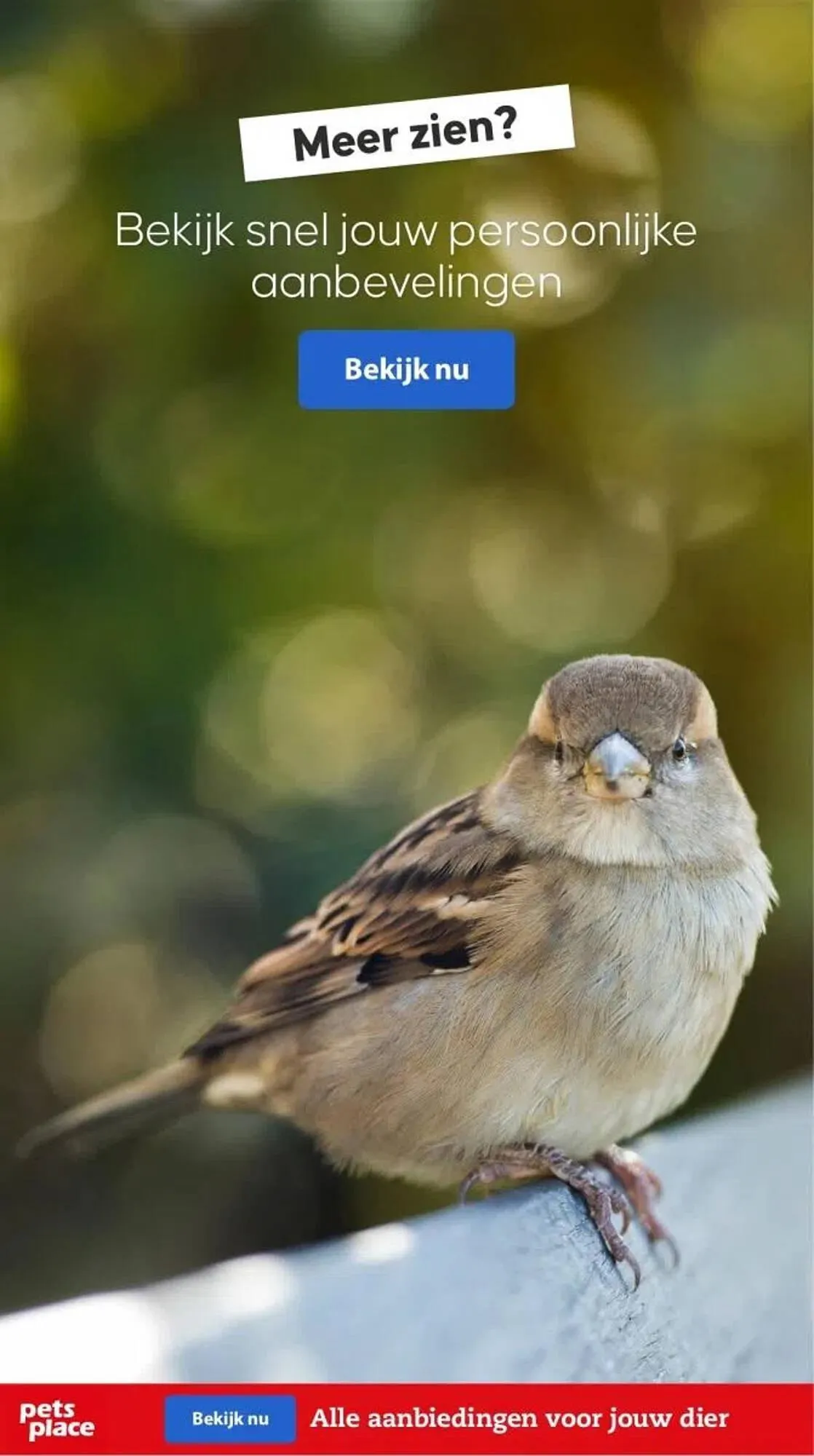 Pets Place folder van 25 september tot 1 oktober 2023 - Folder pagina 21