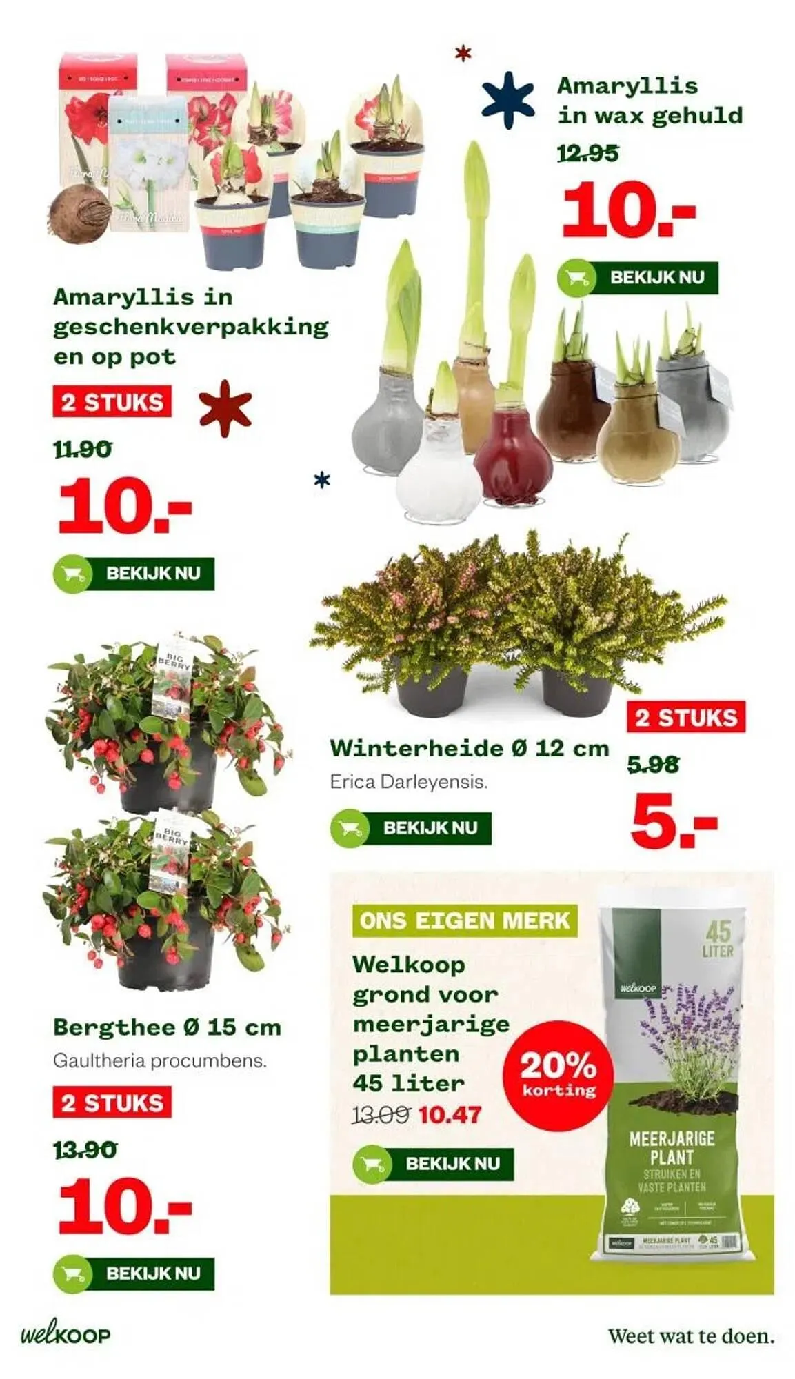 Welkoop folder van 17 november tot 23 november 2025 - Folder pagina 15