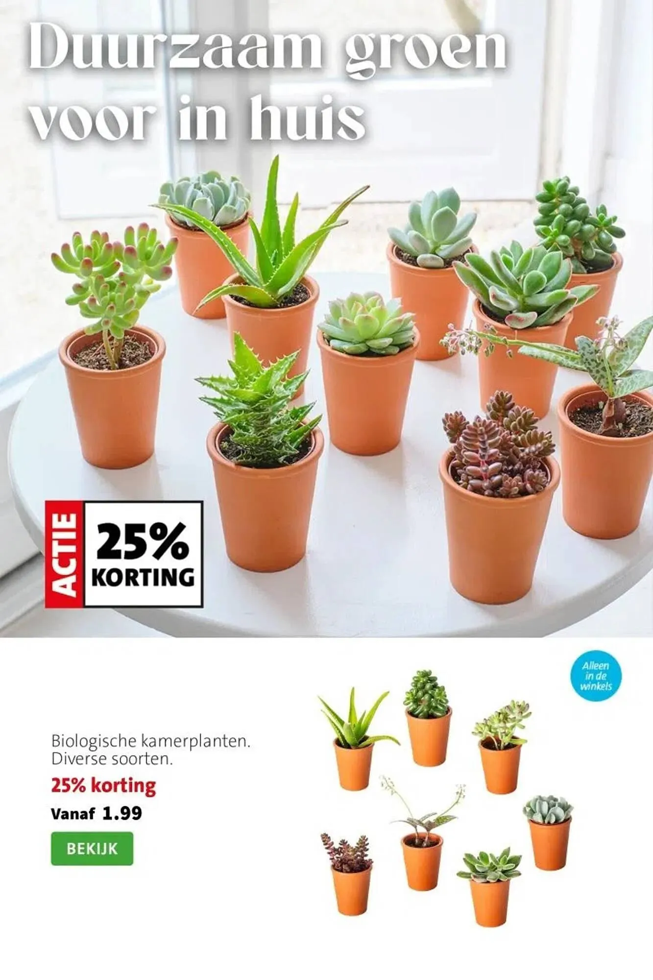 Intratuin folder van 23 februari tot 1 maart 2026 - Folder pagina 3