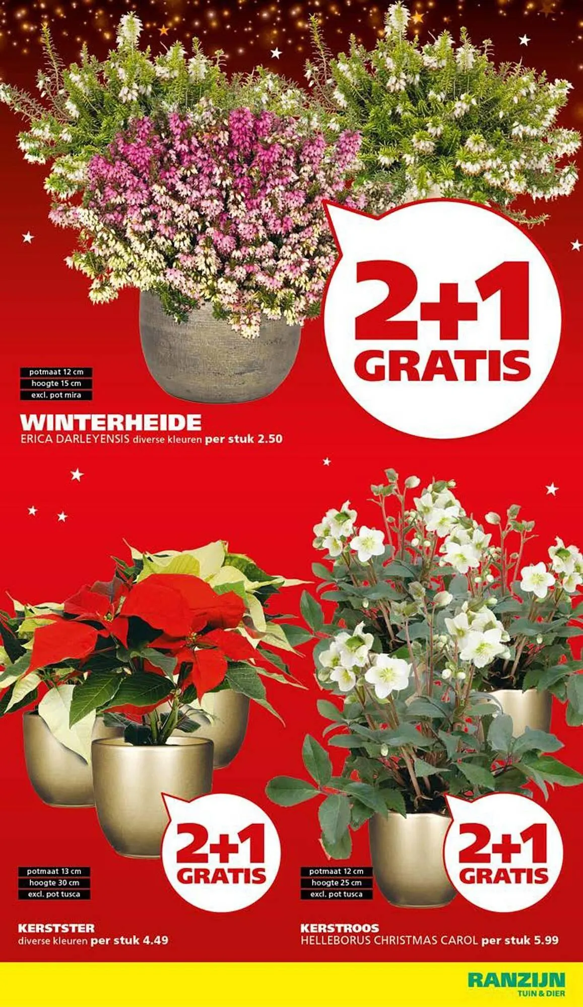 Ranzijn folder van 10 november tot 29 november 2025 - Folder pagina 4