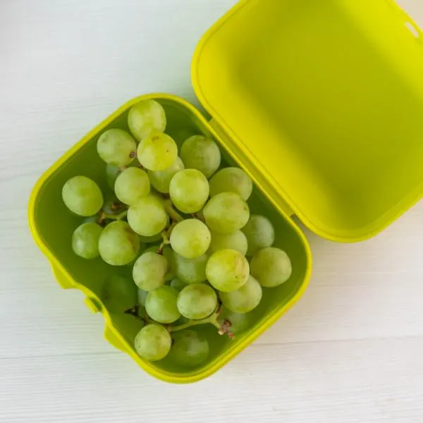 Eco+ Smartclip Medium