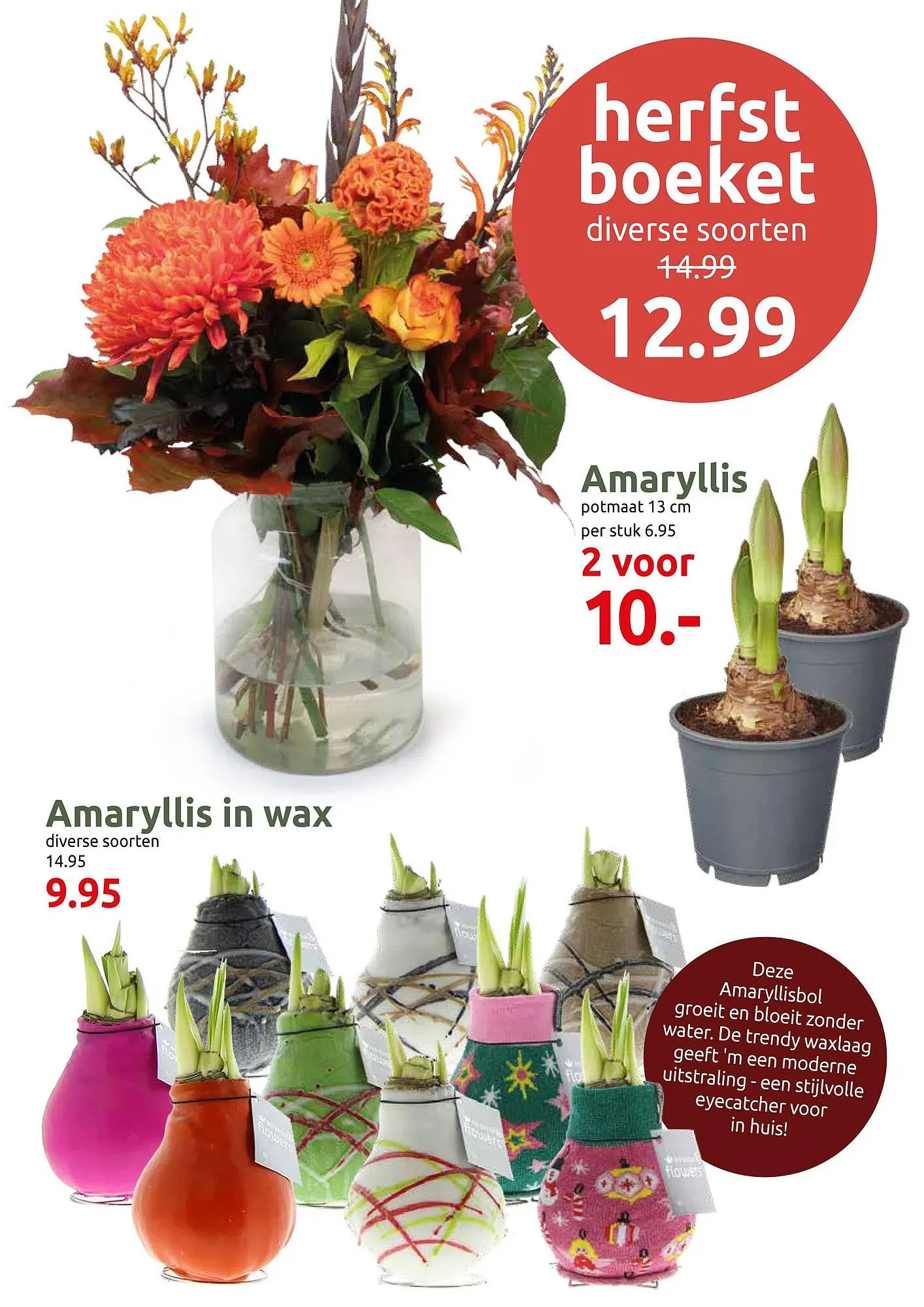 Deka Tuin folder van 27 oktober tot 9 november 2025 - Folder pagina 2