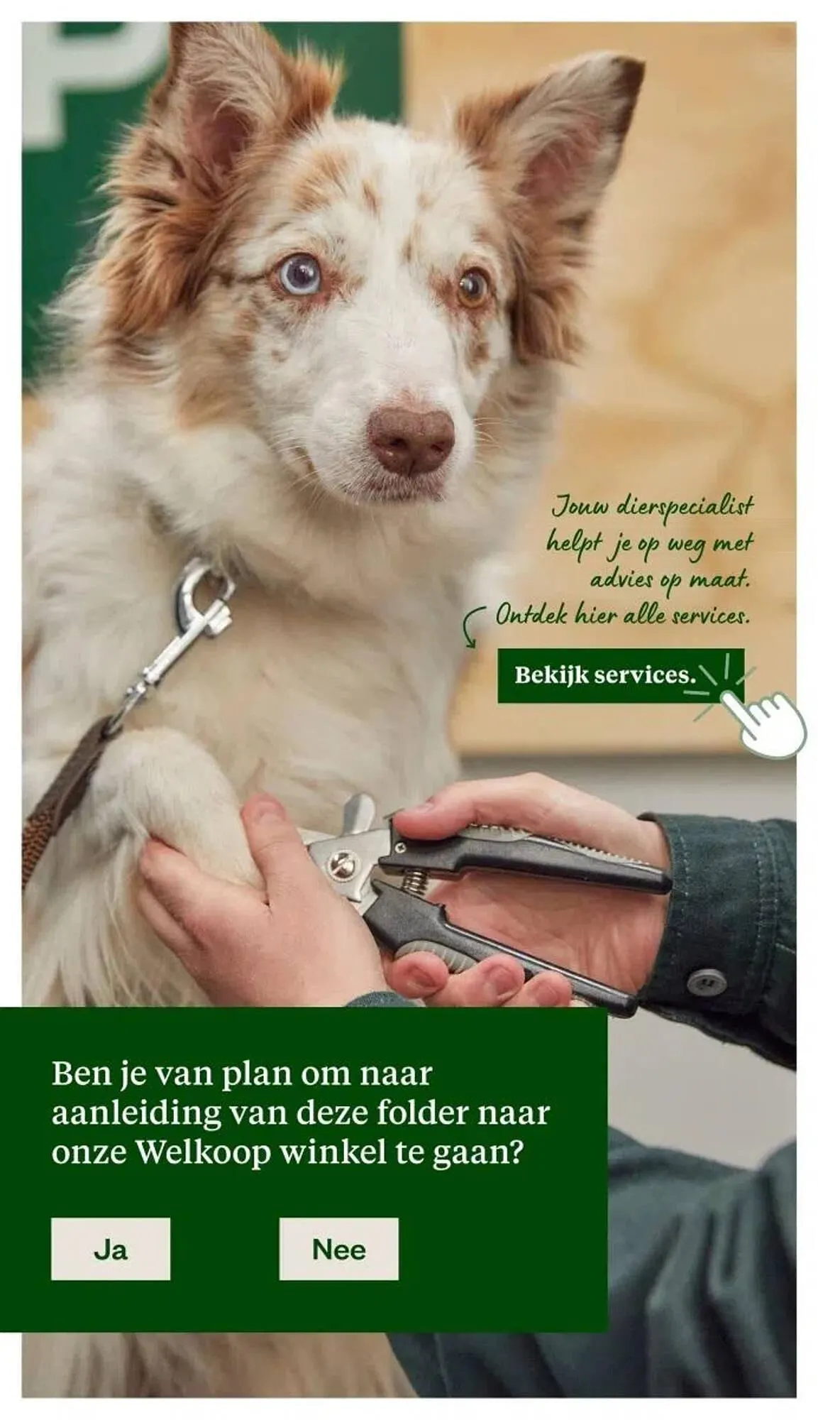 Welkoop folder van 26 januari tot 1 februari 2026 - Folder pagina 24