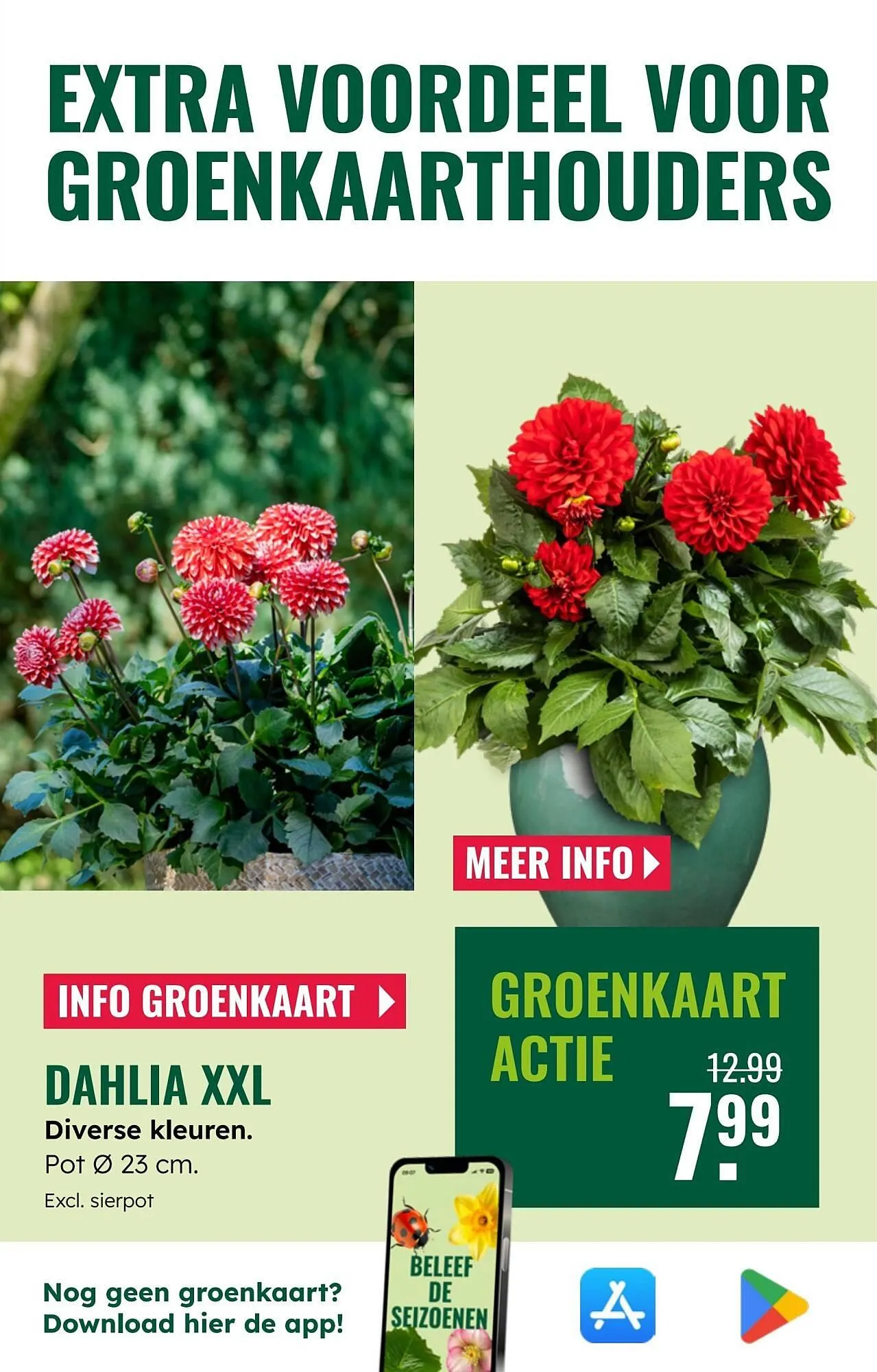 GroenRijk folder van 2 juli tot 8 juli 2025 - Folder pagina 19