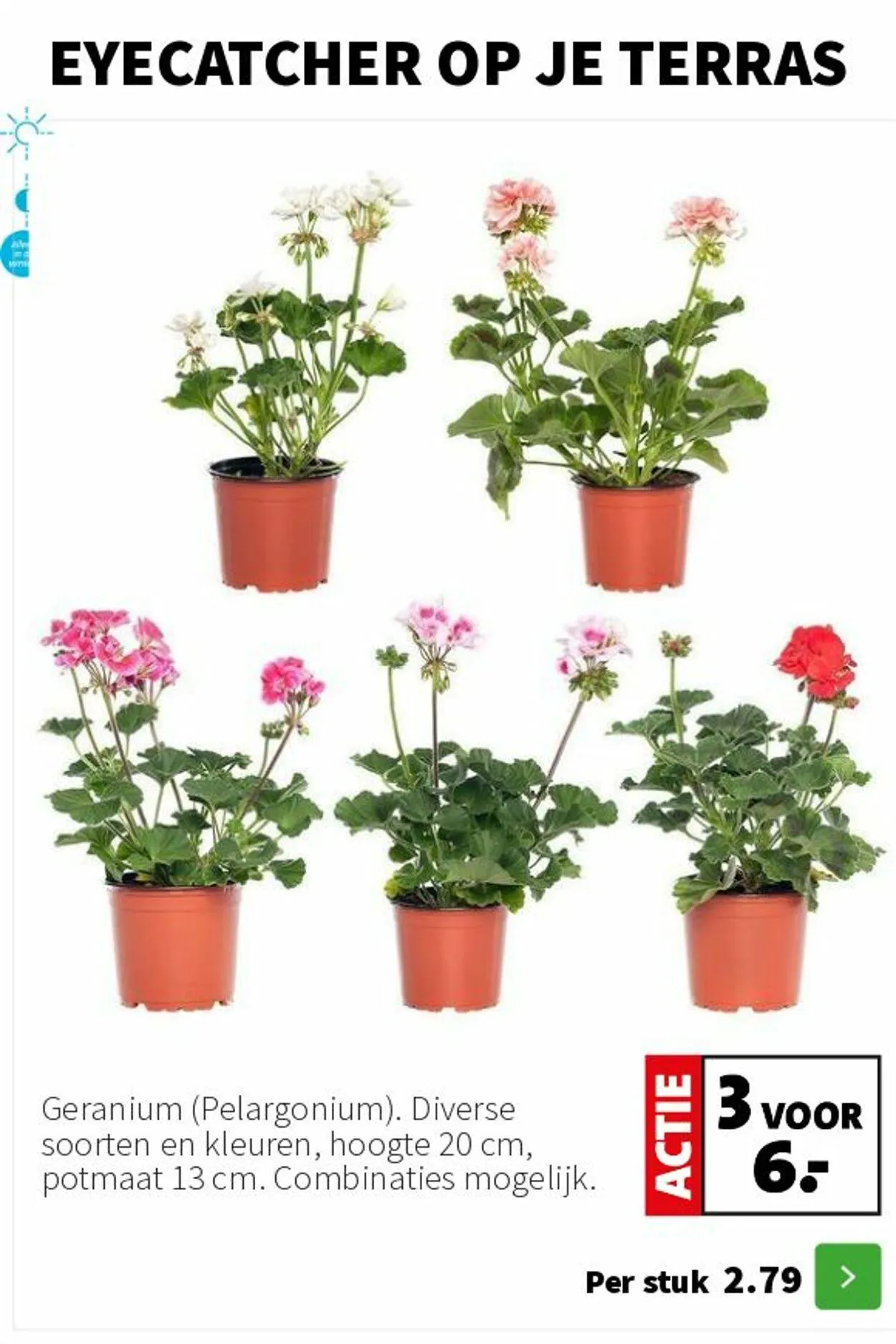 Intratuin Actuele folder van 17 augustus tot 31 augustus 2025 - Folder pagina 2