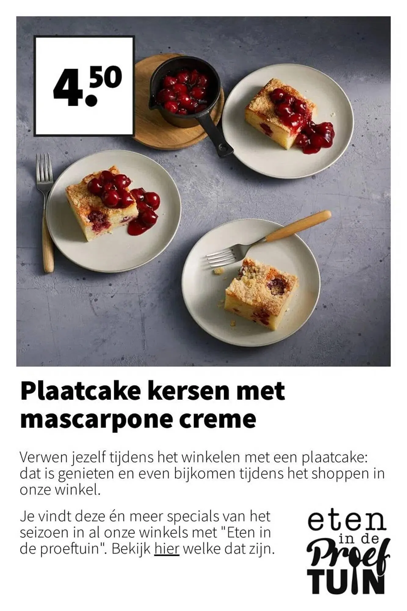 Intratuin folder van 12 januari tot 18 januari 2026 - Folder pagina 13