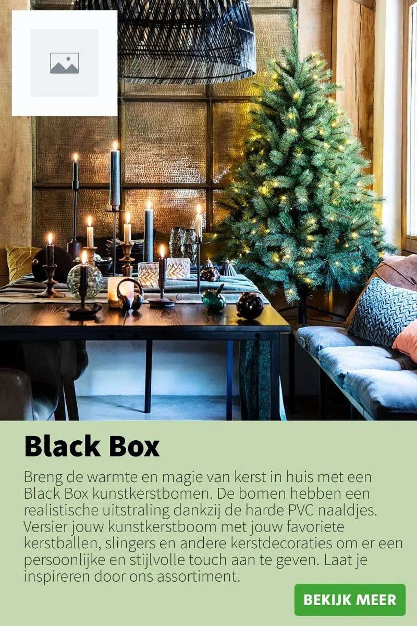 Intratuin folder van 9 oktober tot 24 december 2025 - Folder pagina 18