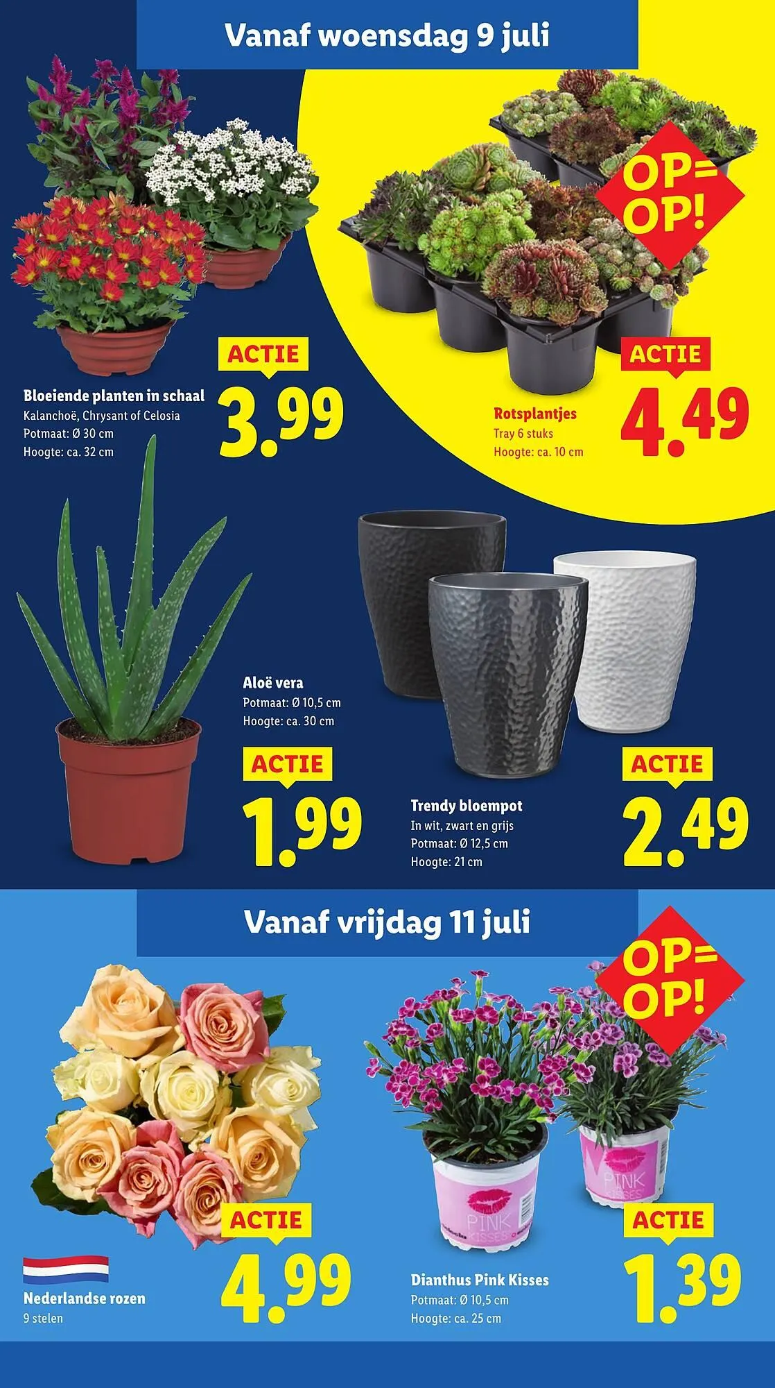 Lidl folder van 7 juli tot 13 juli 2025 - Folder pagina 12