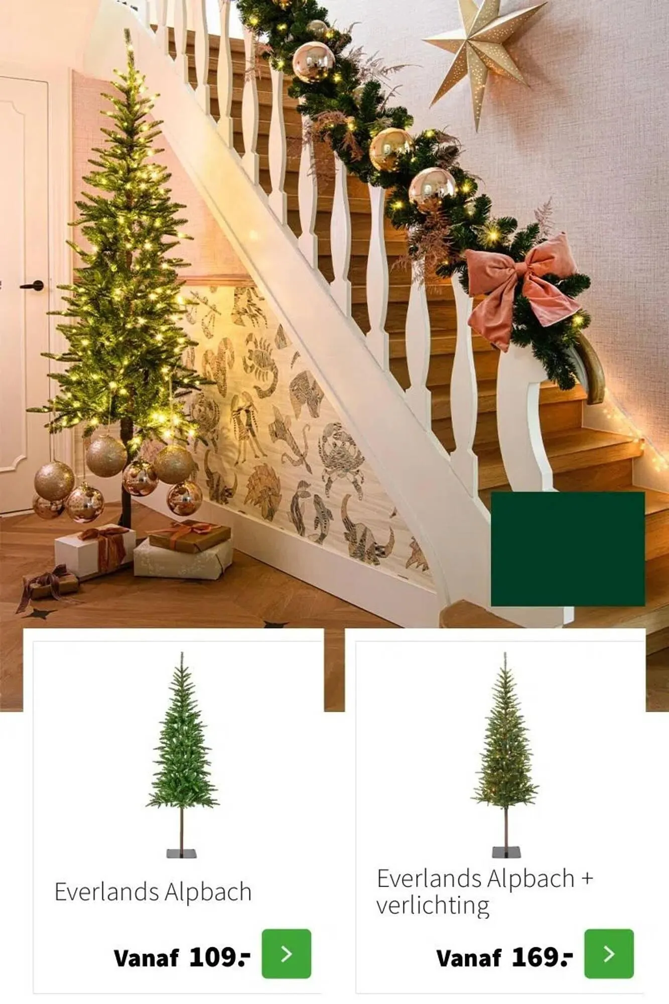 Intratuin folder van 9 oktober tot 24 december 2025 - Folder pagina 16