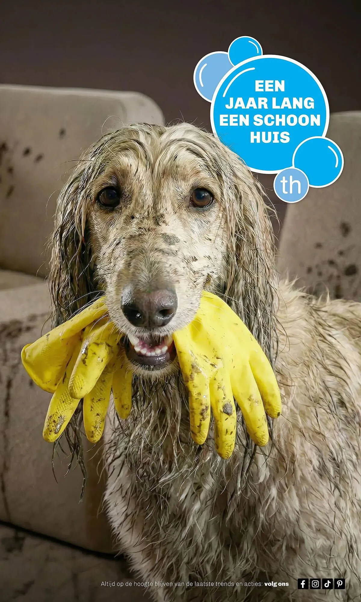 Trendhopper folder van 1 maart tot 29 maart 2026 - Folder pagina 3