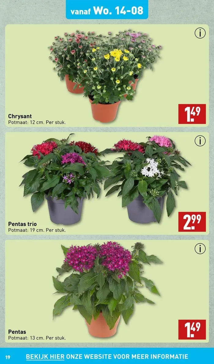 Nieuwe aanbiedingen om te ontdekken van 8 augustus tot 22 augustus 2024 - Folder pagina 19