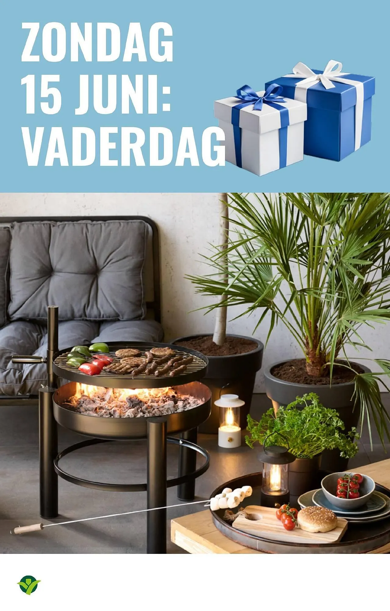 GroenRijk folder van 4 juni tot 17 juni 2025 - Folder pagina 12