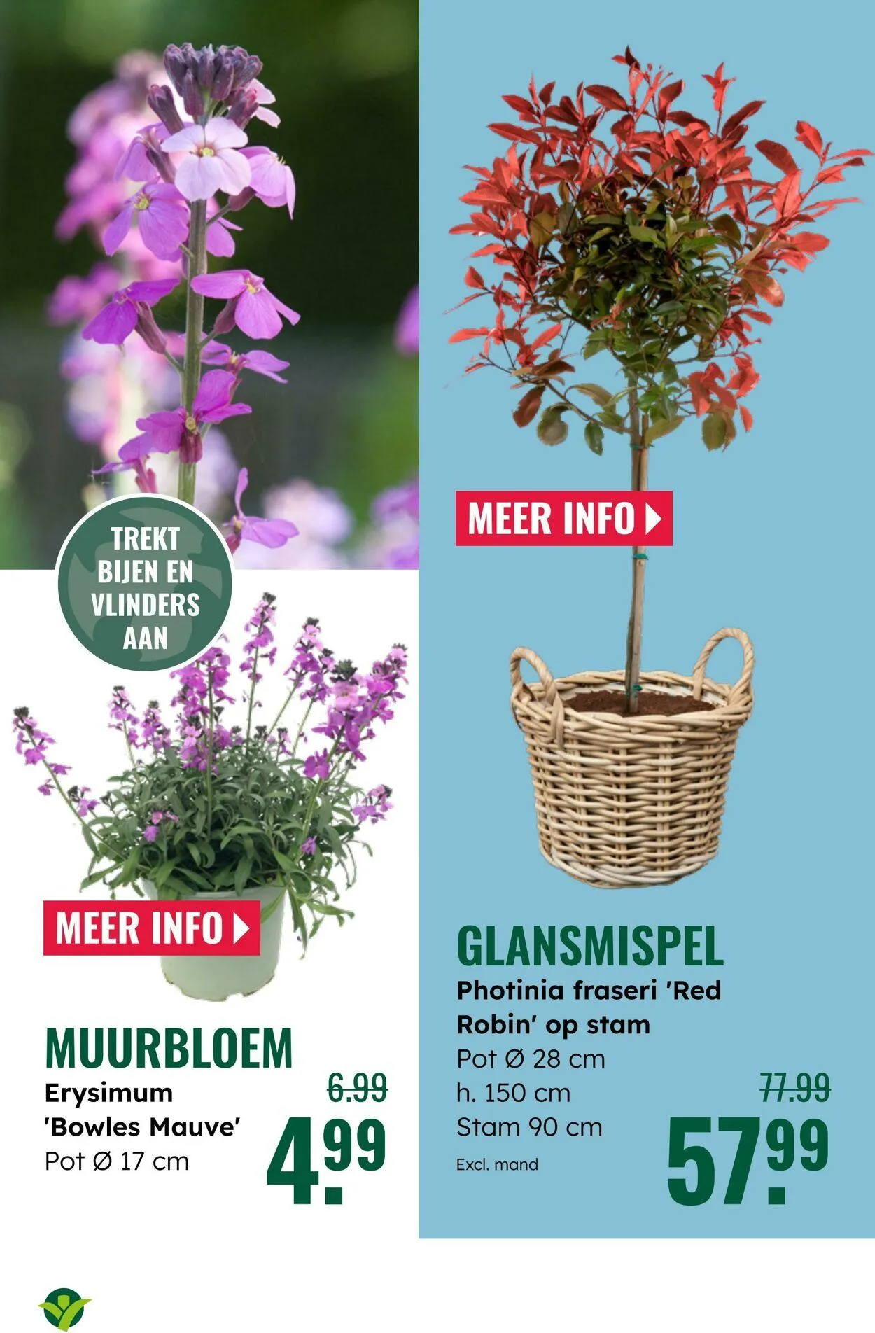 GroenRijk Actuele folder van 10 juni tot 24 juni 2025 - Folder pagina 11