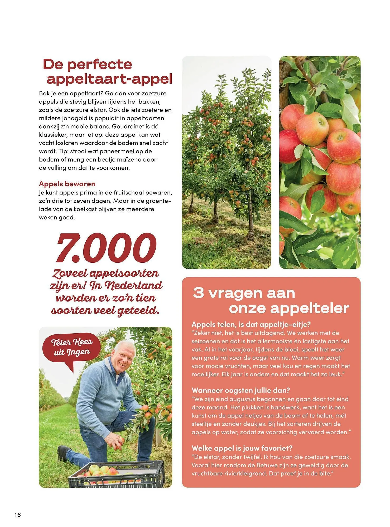 Boodschappen folder van 1 oktober tot 31 oktober 2025 - Folder pagina 14