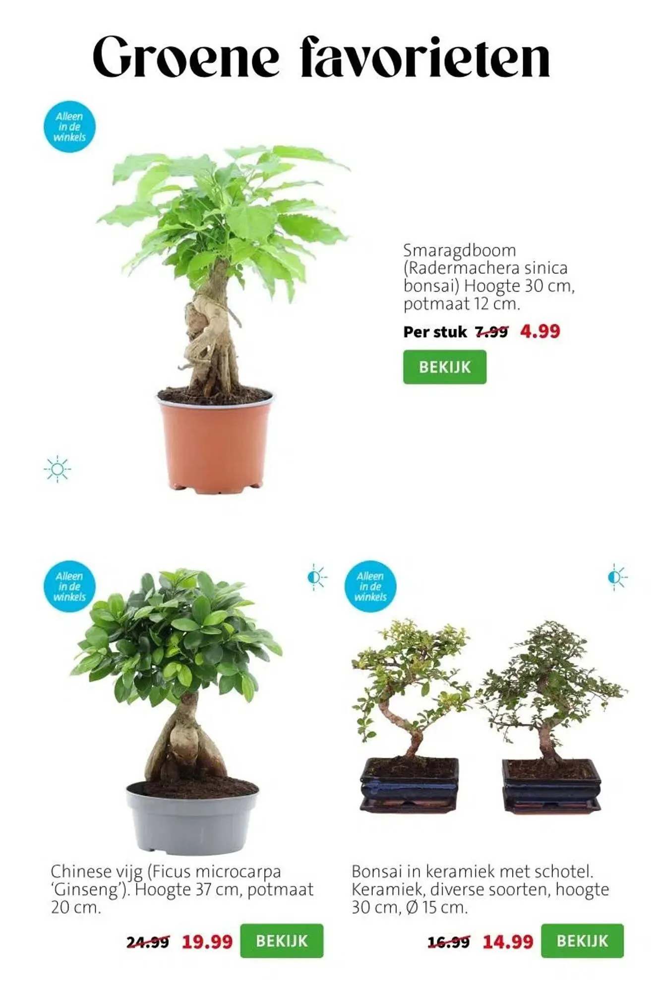 Intratuin folder van 9 maart tot 15 maart 2026 - Folder pagina 2