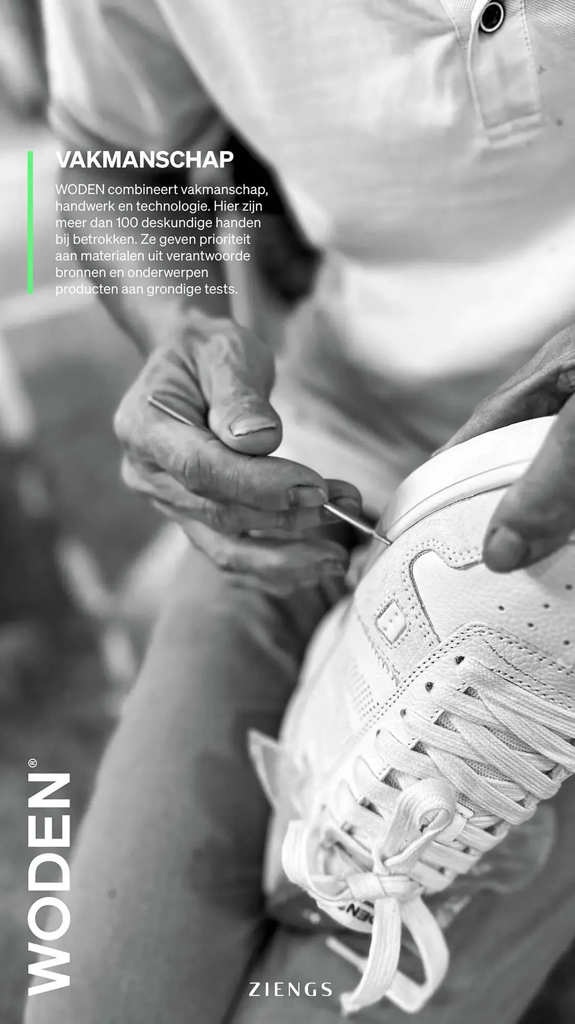 Ziengs folder van 1 september tot 21 september 2025 - Folder pagina 4