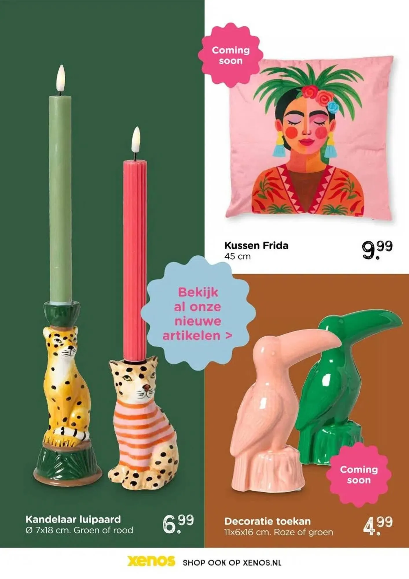 Xenos folder van 19 januari tot 19 april 2026 - Folder pagina 13