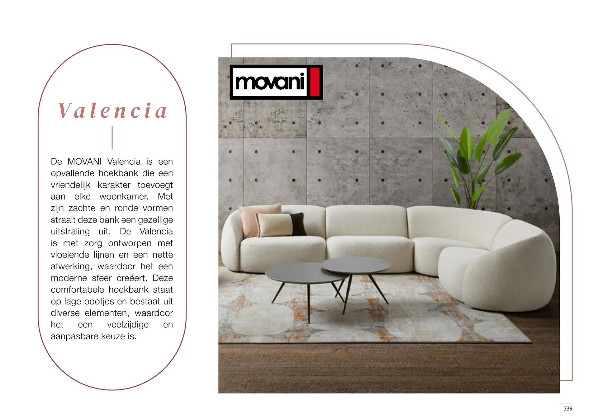 Donjon folder van 9 mei tot 15 mei 2025 - Folder pagina 241