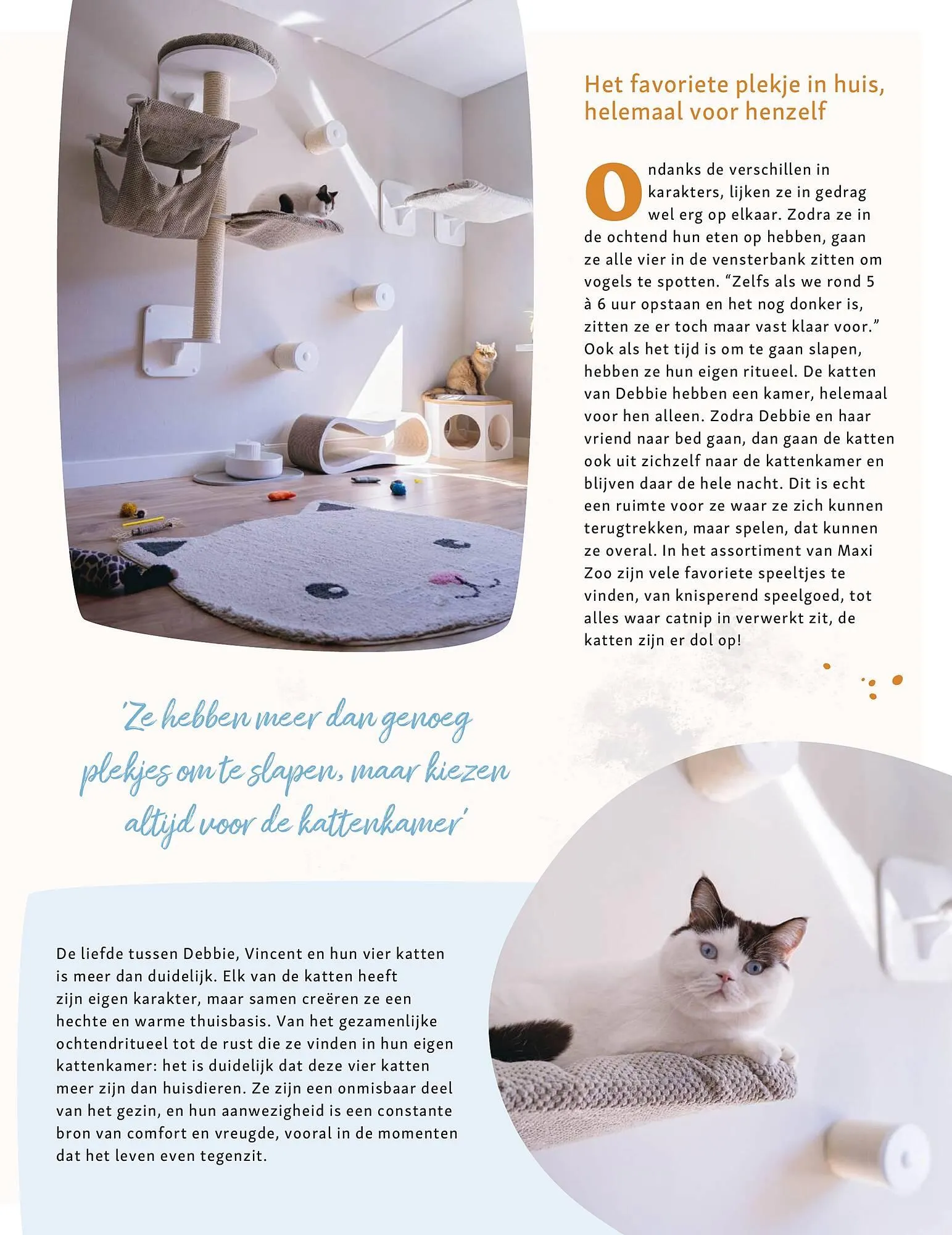 Maxi Zoo folder van 28 april tot 4 mei 2025 - Folder pagina 23