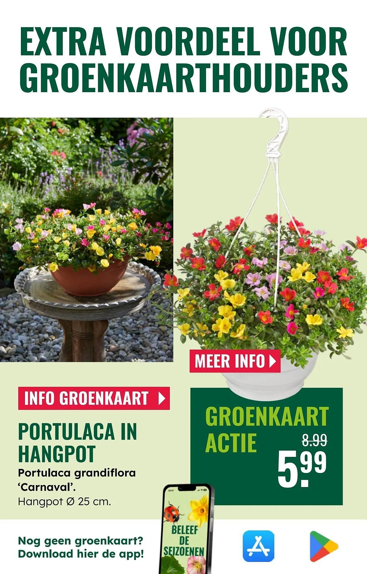 GroenRijk folder van 2 juli tot 8 juli 2025 - Folder pagina 3