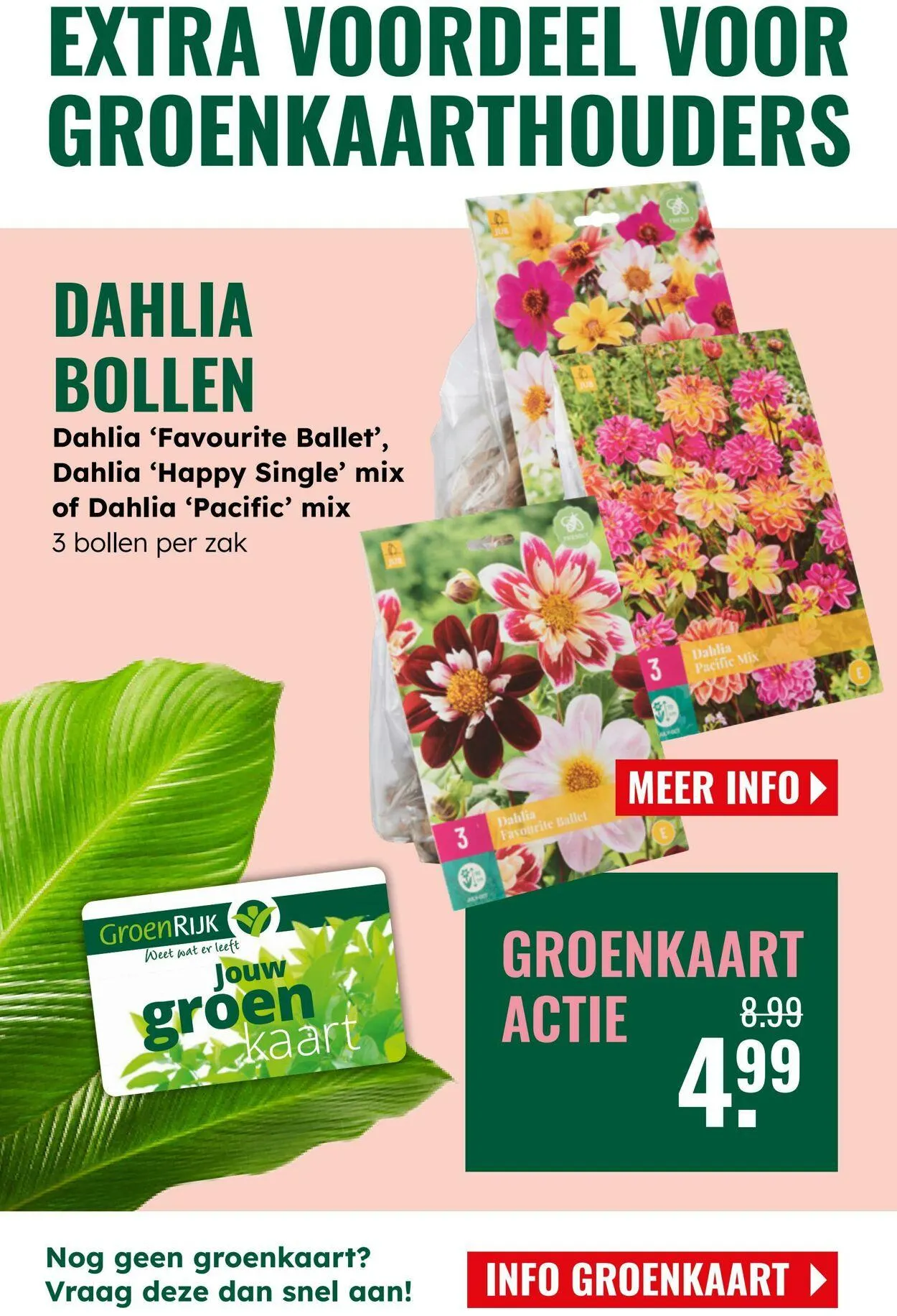 GroenRijk Actuele folder van 10 juni tot 24 juni 2025 - Folder pagina 8