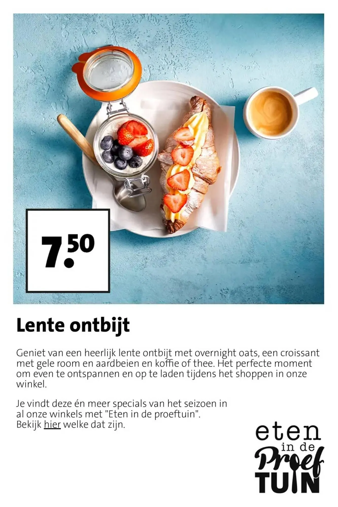 Intratuin folder van 23 maart tot 29 maart 2026 - Folder pagina 7