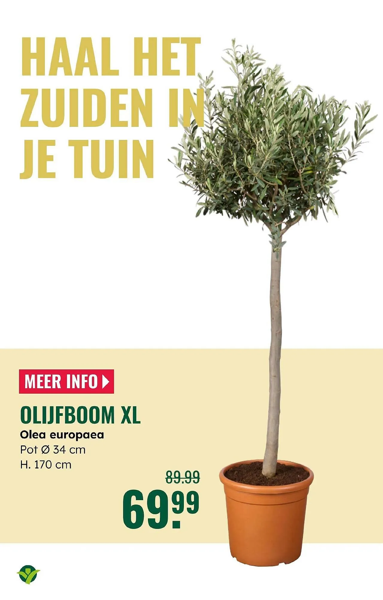 GroenRijk folder van 4 juni tot 17 juni 2025 - Folder pagina 16