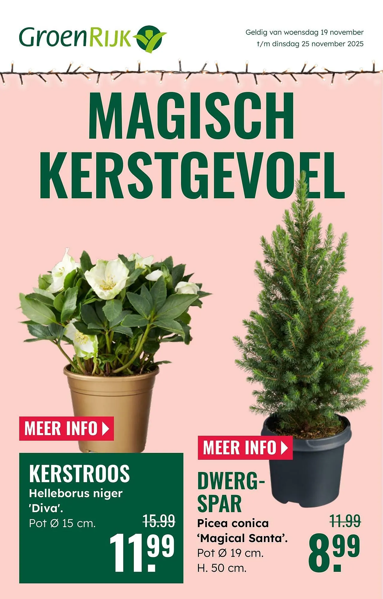 GroenRijk folder van 19 november tot 25 november 2025 - Folder pagina 1